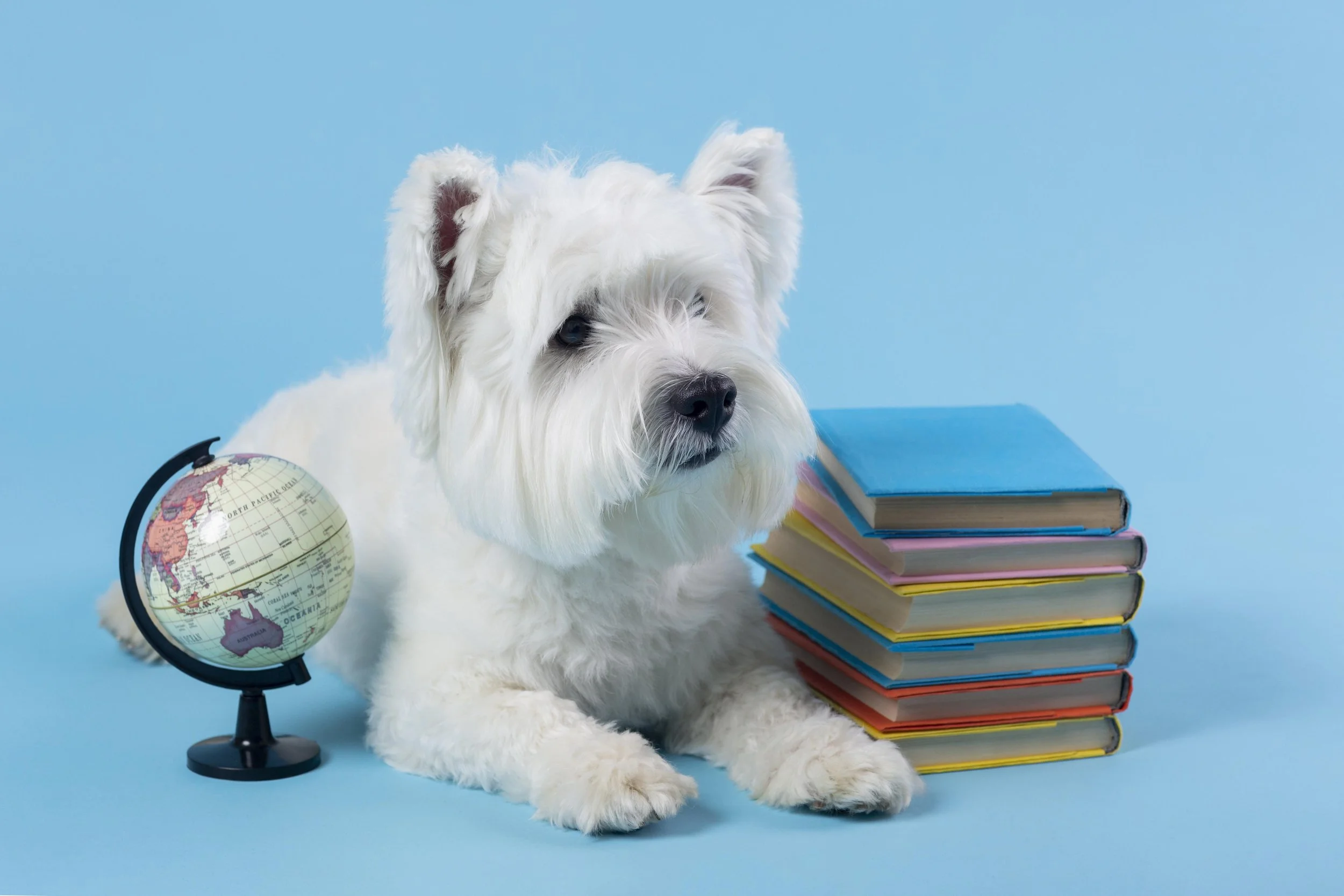 White dog lying down next to stacked colorful books, a small globe, against a blue background.