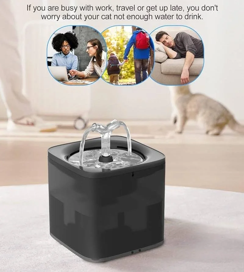 A small black water fountain on a white surface with three photos above it. The photos show a woman working at a laptop, two people holding hands outdoors, and a man sleeping on a couch. There is a cat in the background near a blurred room.