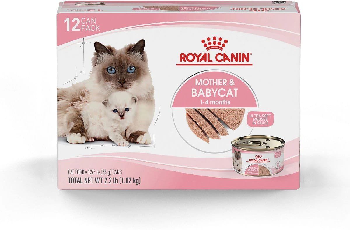 Box of Royal Canin Mother & Babycat canned cat food for kittens aged 1 to 4 months, with a picture of a mother cat and a kitten on the front.