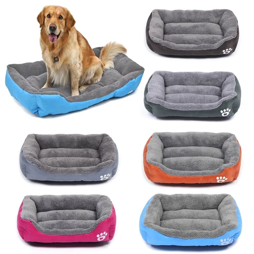 Six plush and foam pet beds in various colors, with a dog sitting on the largest one. The beds are gray, orange, pink, and blue, designed for small to medium-sized pets.