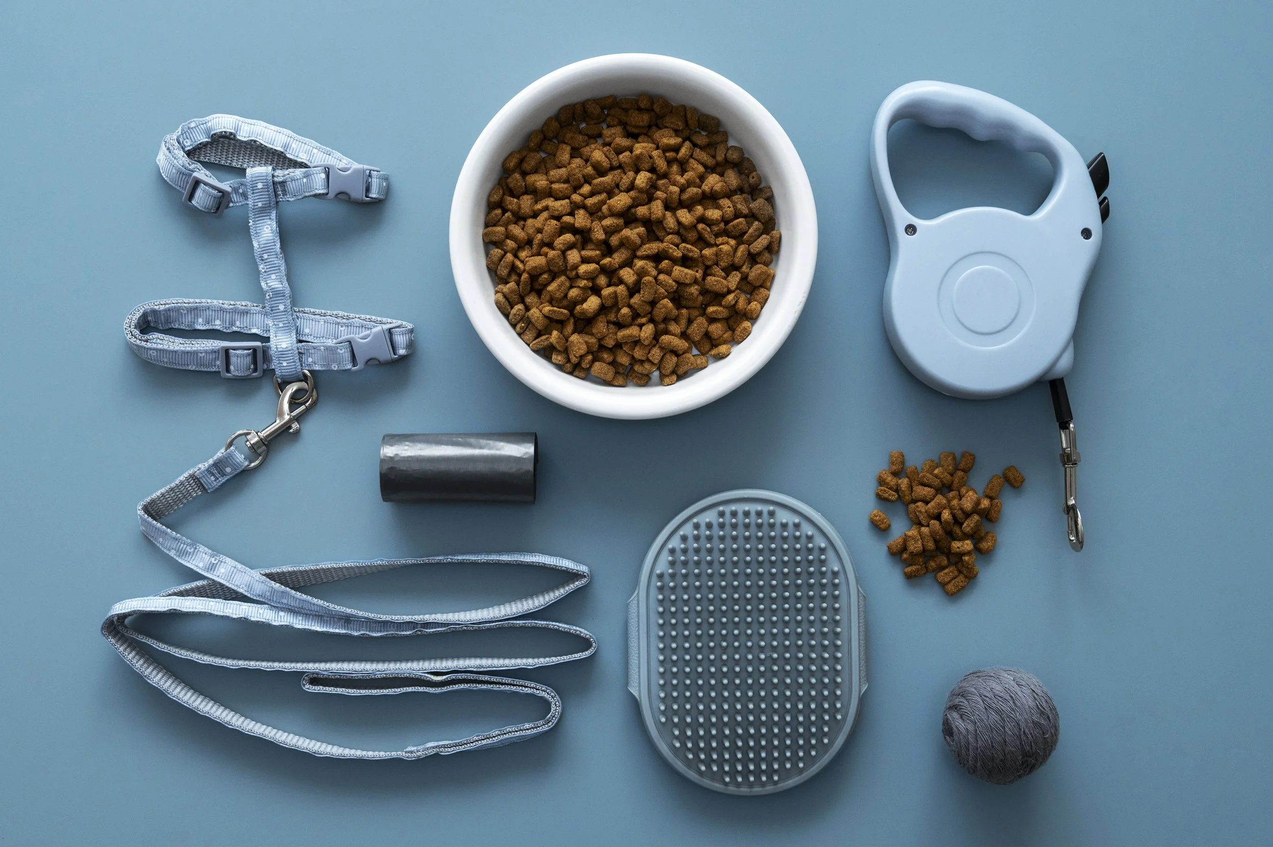Dog training supplies on a blue surface, including a blue leash, a bowl of dog food, a retractable dog leash, a black cylindrical object, a textured grooming pad, a small pile of dog kibble, and a gray ball of yarn.