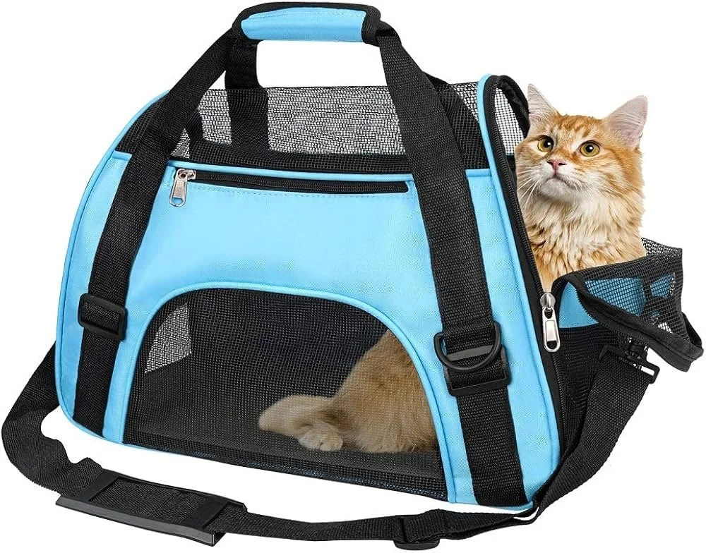 Orange tabby cat inside a blue and black pet carrier with mesh sides, with the cat's head sticking out.