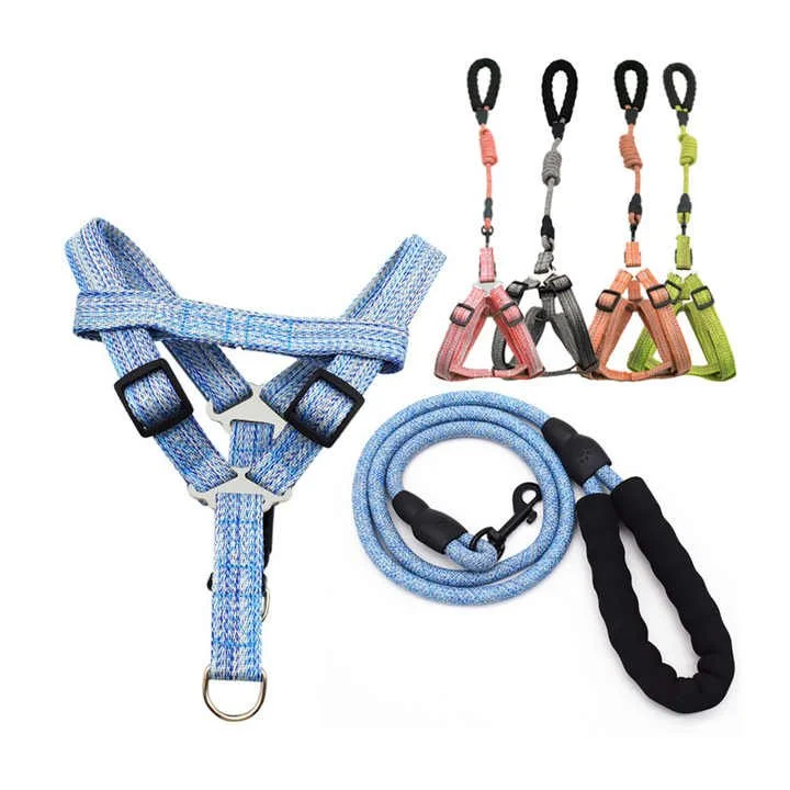 Set of pet accessories including a blue harness, a blue leash, and four small collars with matching leashes in pink, black, peach, and green.