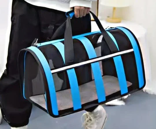 Person holding a black and blue pet carrier with a mesh window.