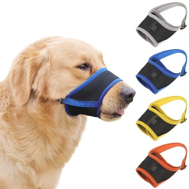 Golden retriever wearing a black and blue nose cover, with three additional nose covers in gray, blue, yellow, and orange displayed nearby.