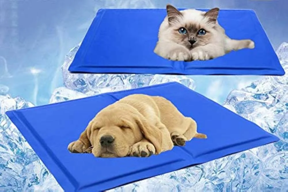 A cat and a puppy sleeping on blue cooling pads in an icy background.