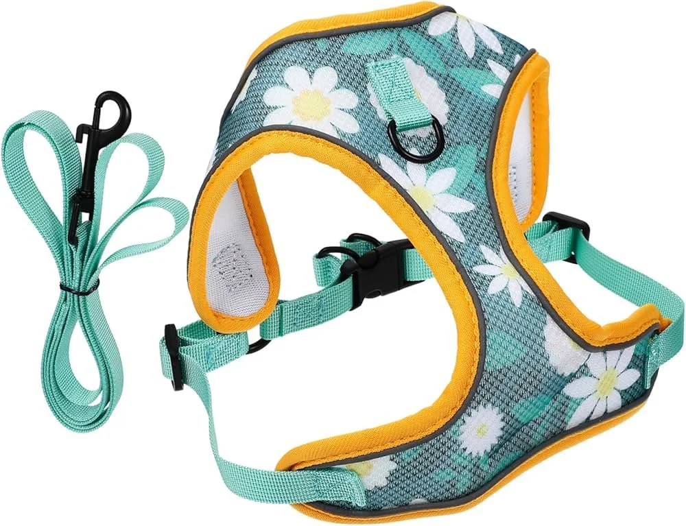 Dog harness with a floral pattern, teal straps, and a side leash attachment, along with a teal leash.