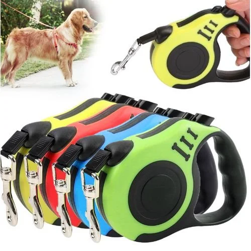 A golden retriever on a leash near a grassy area and a set of four retractable dog leashes in different colors, with a close-up of one being held in a person's hand.