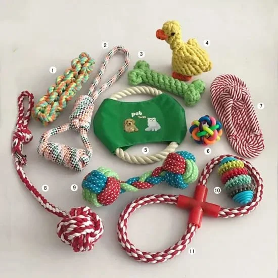 Collection of colorful dog toys including rope toys, rubber chew toys, and stuffed toys on a white surface.