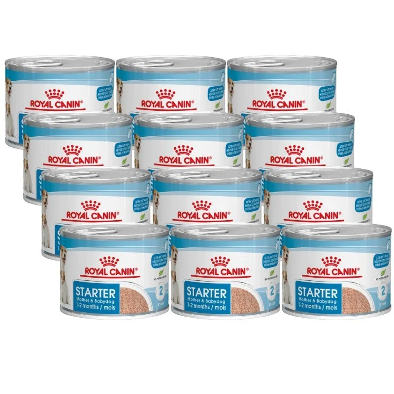 Twelve cans of Royal Canin Starter Mother & Babydog food for 1-12 months old puppies, arranged in three rows.