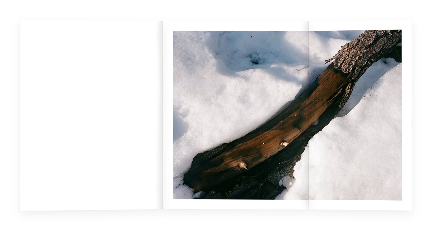 page spread demo copy.jpg