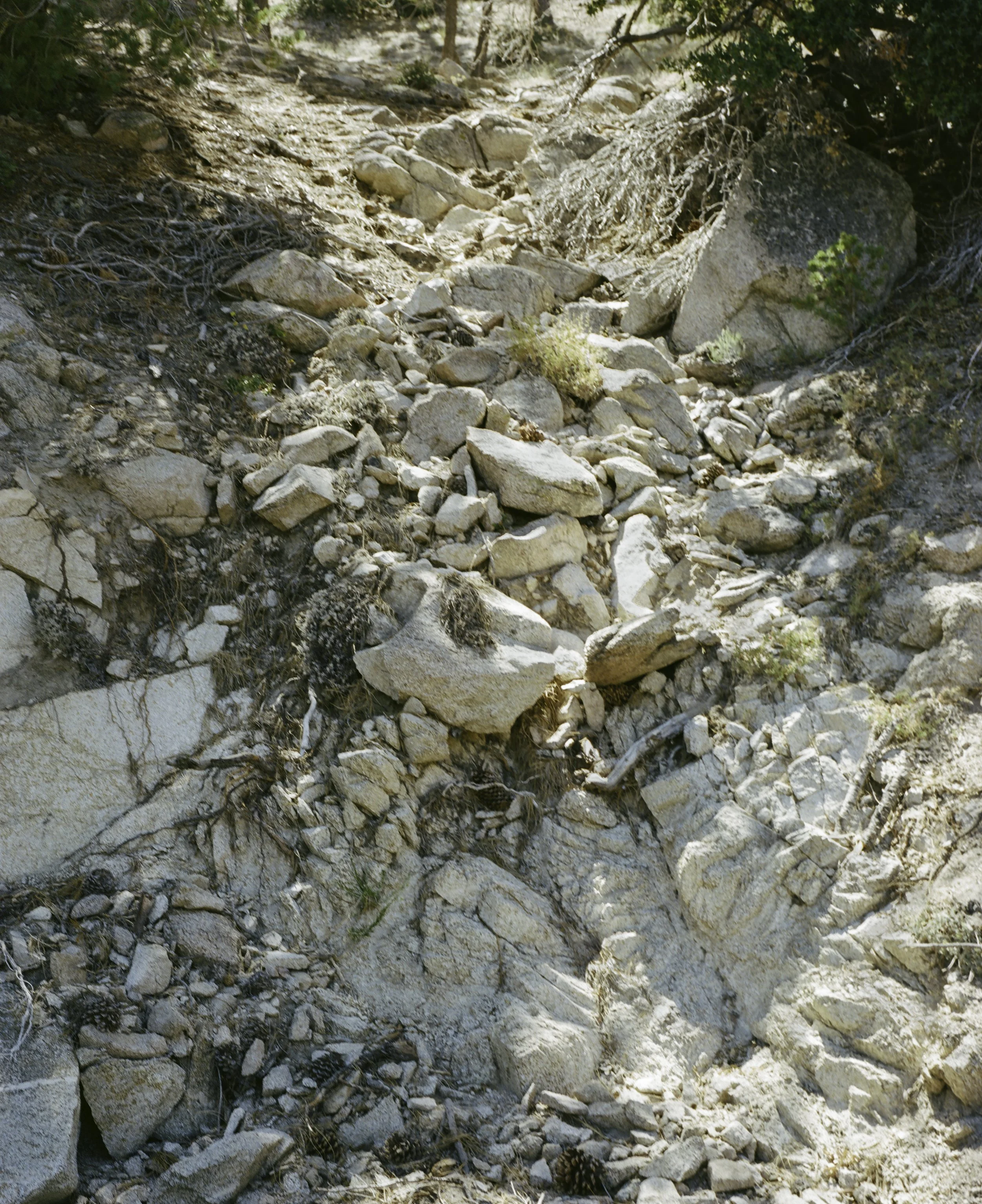 000019830004-Edit copy.jpg