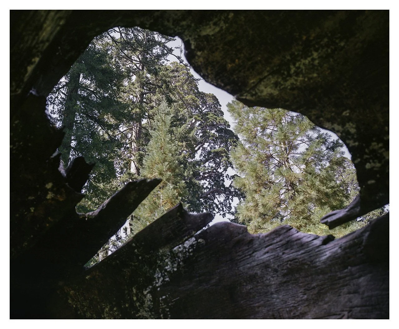 AliaChand-Slideroom_14.jpg