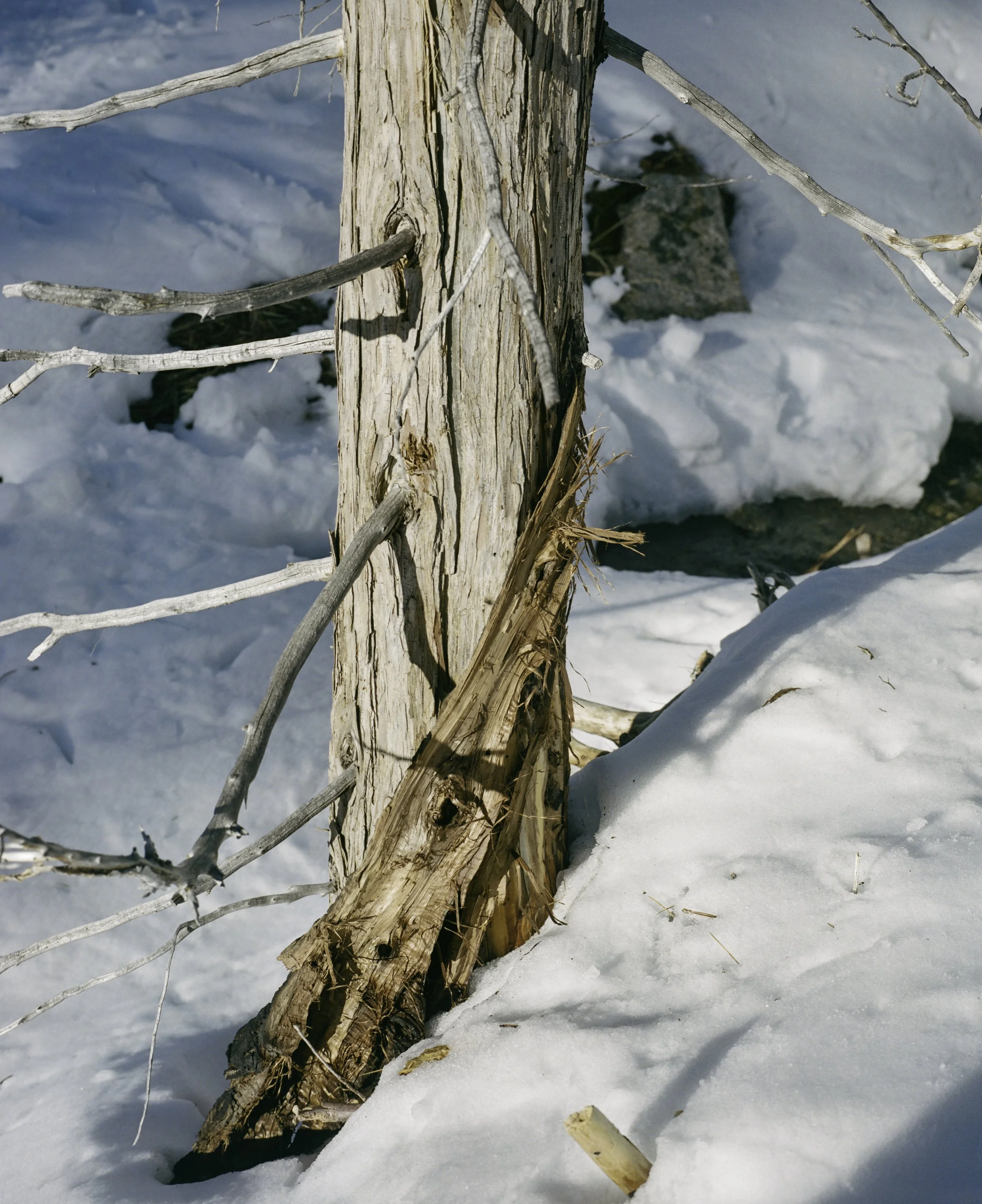 000003360003-Edit copy.jpg