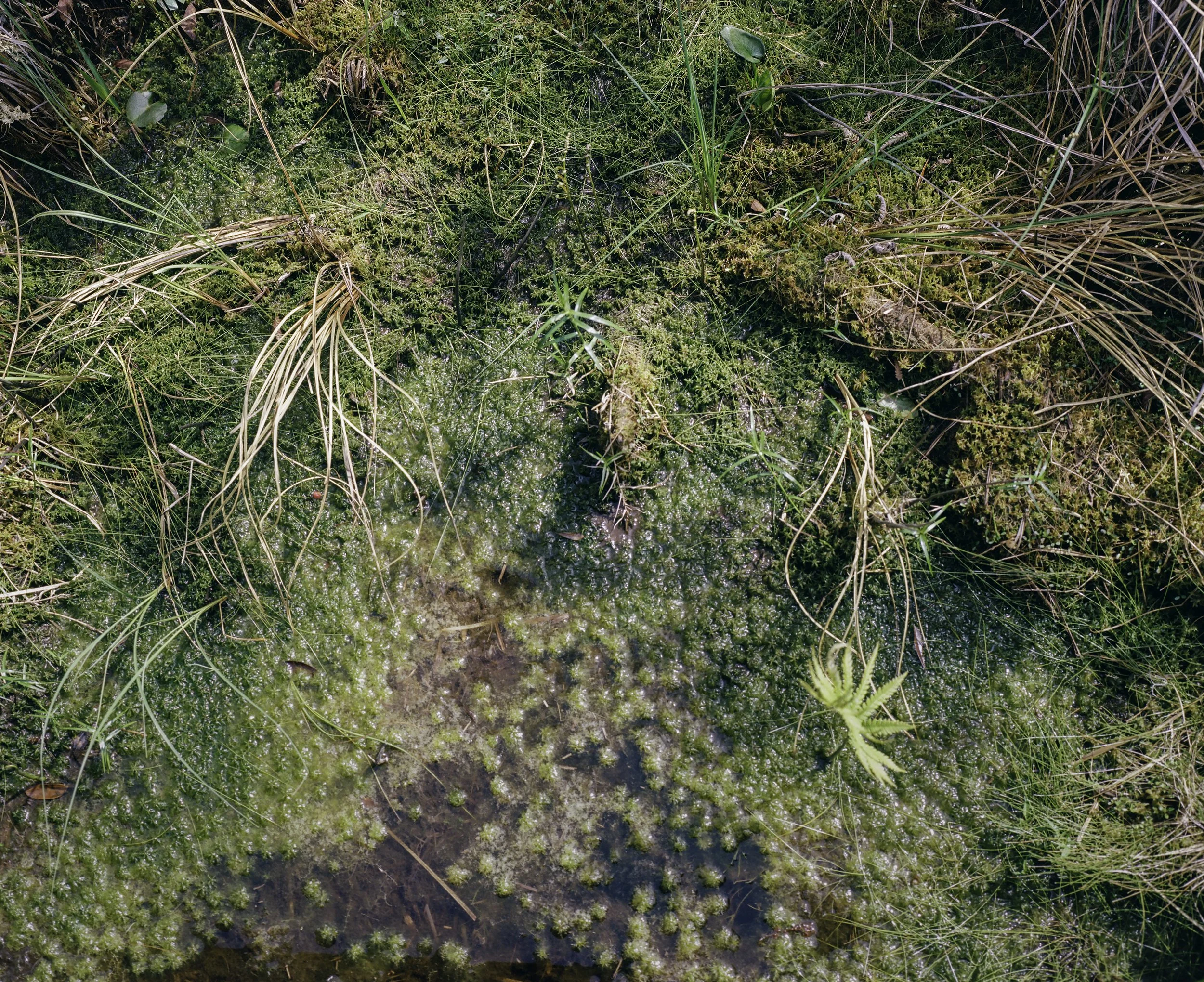 000016750004-Edit copy.jpg