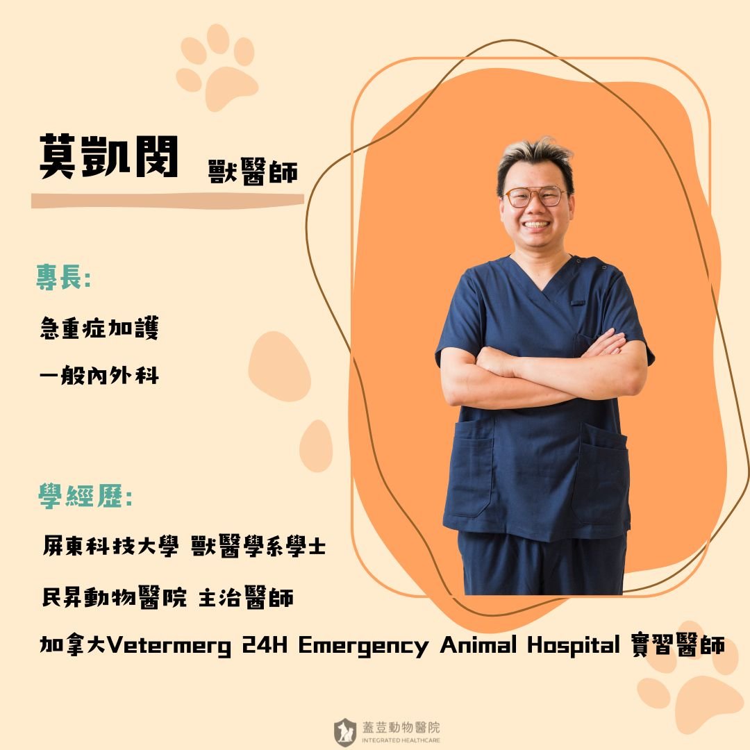 【獸醫師介紹】 🌟莫凱閔🌟
​
🍀專長/主治項目:
 ​ ​ ​ ​ 急診加護
 ​ ​ ​ ​ 一般內外科
​
🍀學經歷: 
 ​ ​ ​ ​ 屏東科技大學 獸醫學系學士 
 ​ ​ ​ ​ 民昇動物醫院 主治醫師 
 ​ ​ ​ ​ 加拿大Vetermerg 24H Emergency Animal Hospital 實習醫師
 ​ ​ ​ ​ ​ 
🐾🐾🐾🐾🐾🐾
​
這幾個月來看診的家長們可能不時會聽到一陣爽朗的笑聲，這個笑聲的主人是誰咧? ​ 他就是新加入蓋荳團隊、今