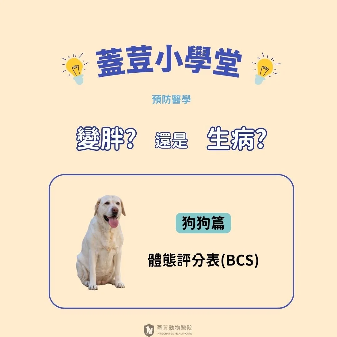 【蓋荳小學堂】
​
🌟體態評分表(BCS)〡變胖，還是生病了?🌟
​
【狗狗篇】
​
我們曾經遇到一隻狗狗，
除了肚子特別大之外，
其他四肢&amp;胸部區域都還在正常的範圍內。
剛開始家長以為狗狗只是變胖，
直到某天狗狗突然開始變得很虛弱，
帶來就診之後才發現是腹部有器官嚴重發炎。
​
我們想，也許有其他家長也會遇到類似的問題，
所以想先透過分享體態評分表(BCS)，
讓家長們可以依照這個評分表去判斷，
1) 自家寶貝體態是正常還是變胖。
2) 接著再來檢視，到底是變胖了，還是生病了呢? 