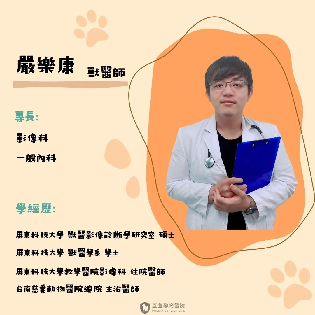 【獸醫師介紹】 🌟嚴樂康🌟

🍀專長/主治項目:
 影像科
  一般內科

🍀學經歷: 
  屏東科技大學 獸醫影像診斷學研究室 碩士 
  屏東科技大學 獸醫學系 學士 
  屏東科技大學教學醫院影像科 住院醫師
  台南慈愛動物醫院總院 主治醫師 
 
🐾🐾🐾🐾🐾🐾

📢 從八月開始，蓋荳動物醫院新加入一位影像科專業的【嚴樂康醫師】啦!

你知道嗎？嚴醫師當初會踏入獸醫領域，是因為看了國家地理頻道裡的科學家在追鯊魚做研究，當時的他也夢想著有天能「捕捉鯊魚做科學研究」！後