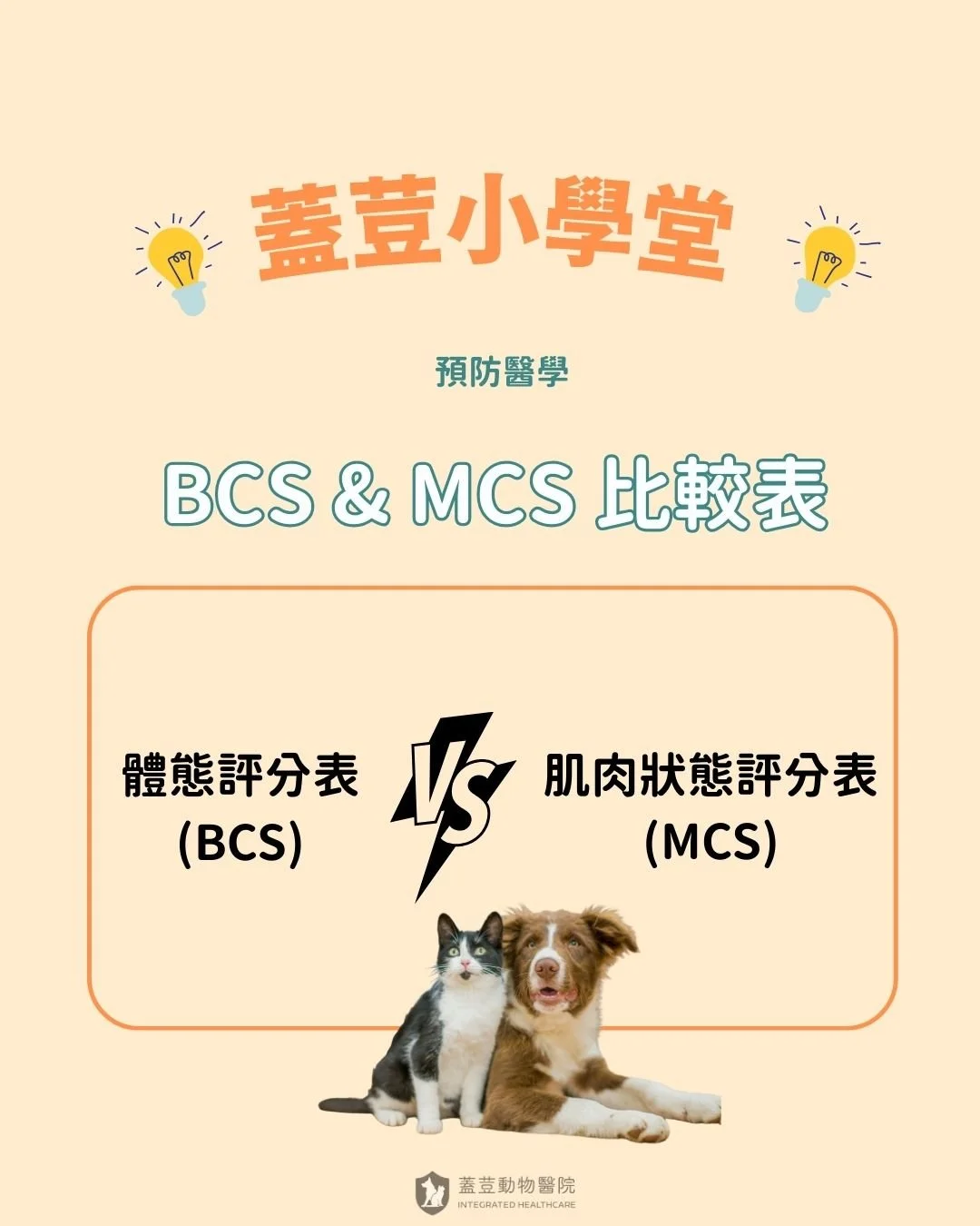 【蓋荳小學堂】
​
🌟 BCS &amp; MCS 比較表🌟
​
看完前幾篇BCS &amp; MCS的介紹之後，
還是覺得有點霧煞煞嗎? 
​
你/妳們的心聲我們聽見囉👂~
最後送上BCS &amp; MCS的比較表，
針對幾個有點相似的項目進一步比較與說明，
希望能幫助大家有更完整的了解。
​
這個主題在這邊也告一個段落囉，
荳編與醫療團隊們覺得關心完狗狗與貓咪的BCS &amp; MCS&hellip;
好像也該來關心一下自己的BCS &amp; MCS了&hellip;😅
​
​