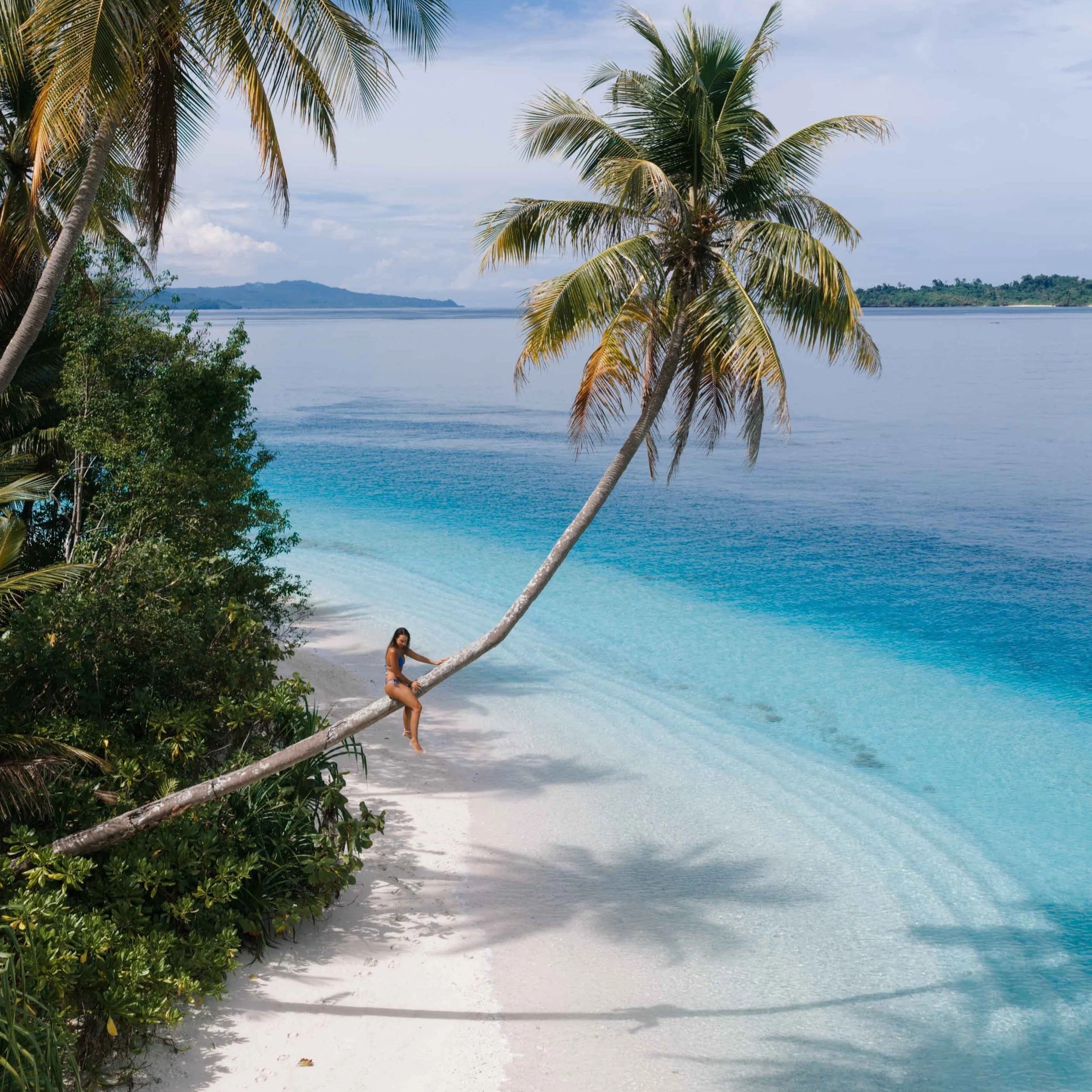 10-Day Sulawesi Itinerary