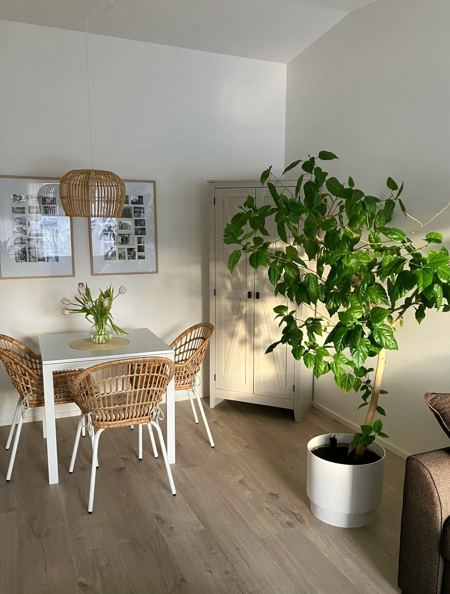 Palautteita konsultoinneista