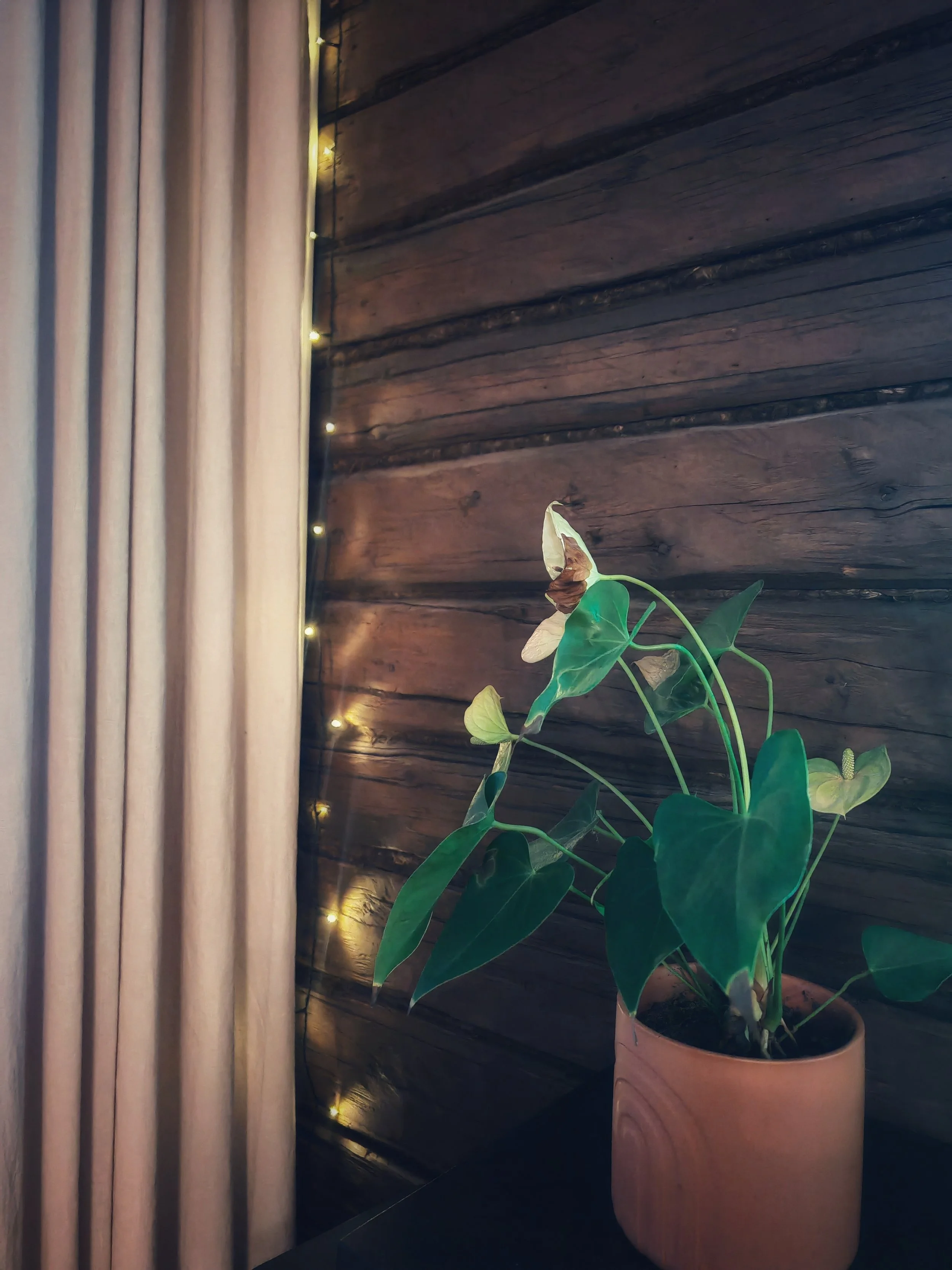 Palautteita minikonsultoinnista