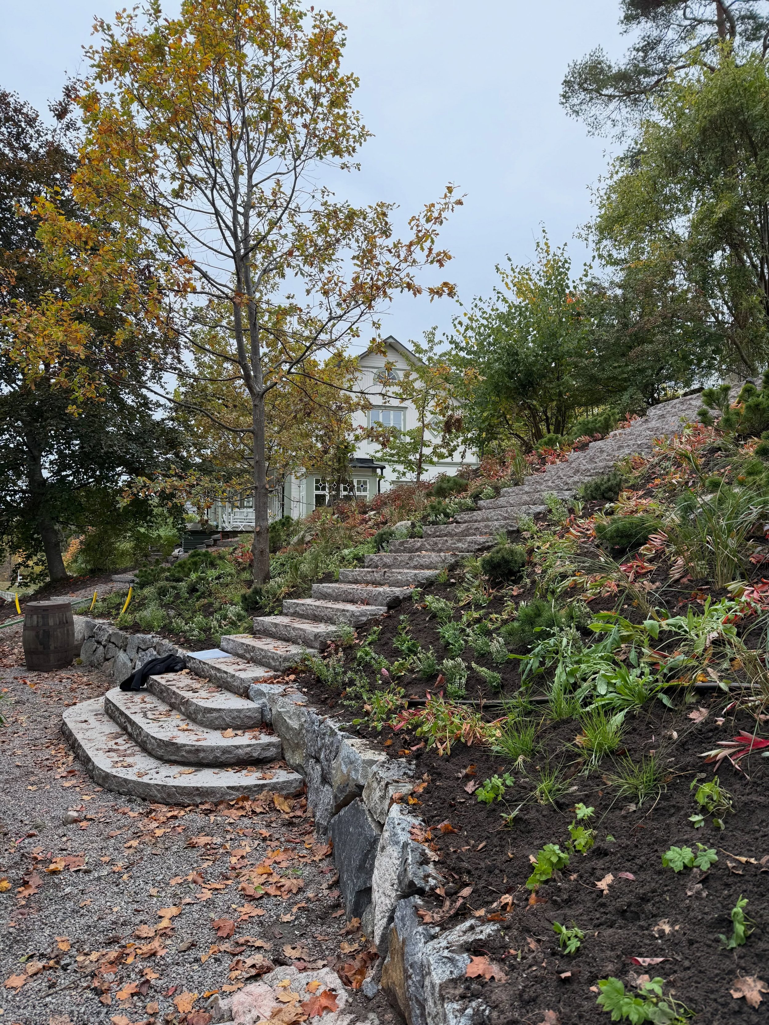 H&auml;r kommer lite bilder fr&aring;n ett k&auml;rt projekt! Idag har vi satt ut v&auml;xter och nu blir det plantering ett par dagar. Fr&aring;n en torr sl&auml;nt till en parkliknande tr&auml;dg&aring;rd med grusg&aring;ngar som b&ouml;ljar sig fr