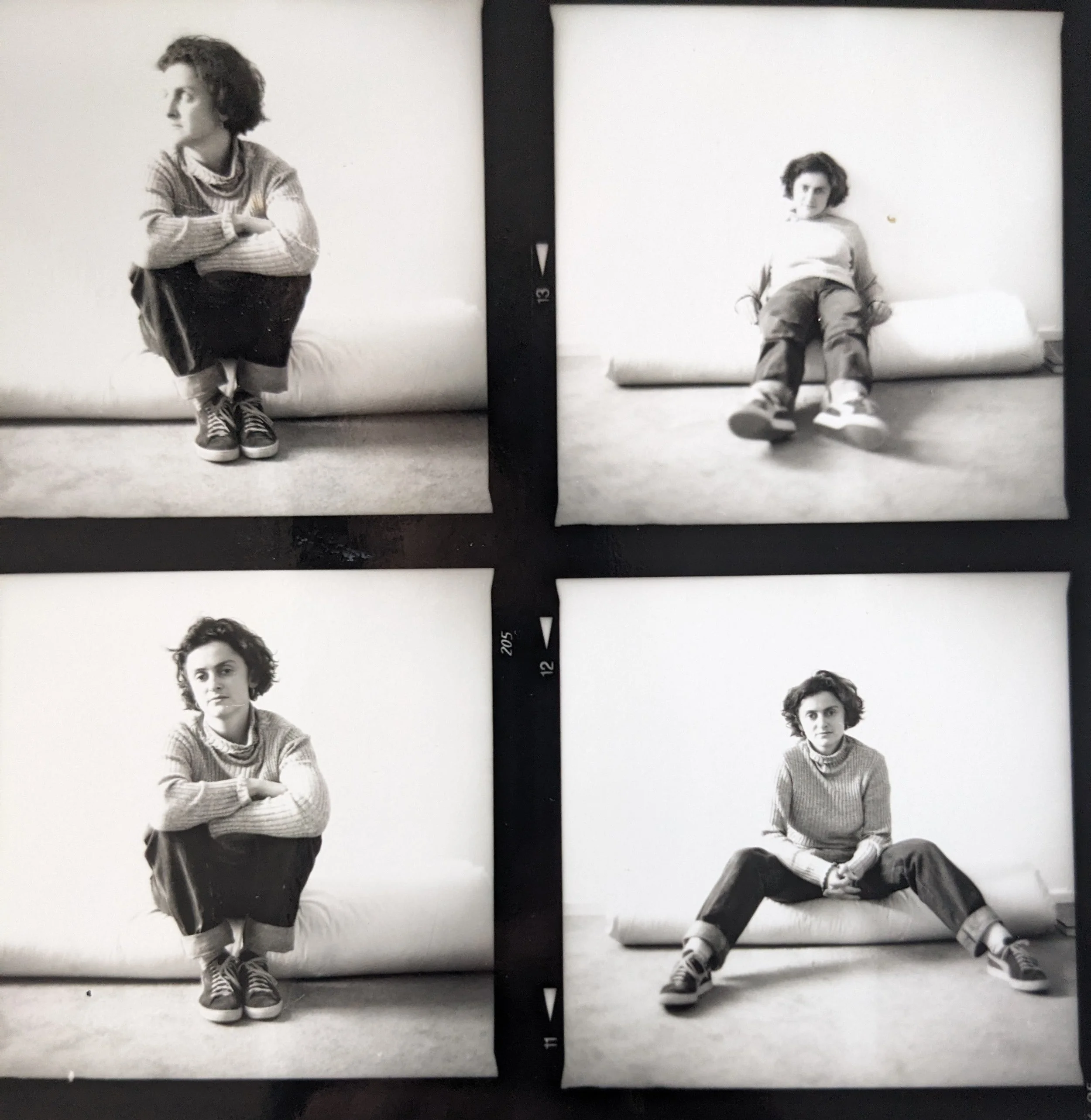 The Collected Live Drawing Shows of Lisa Gornick