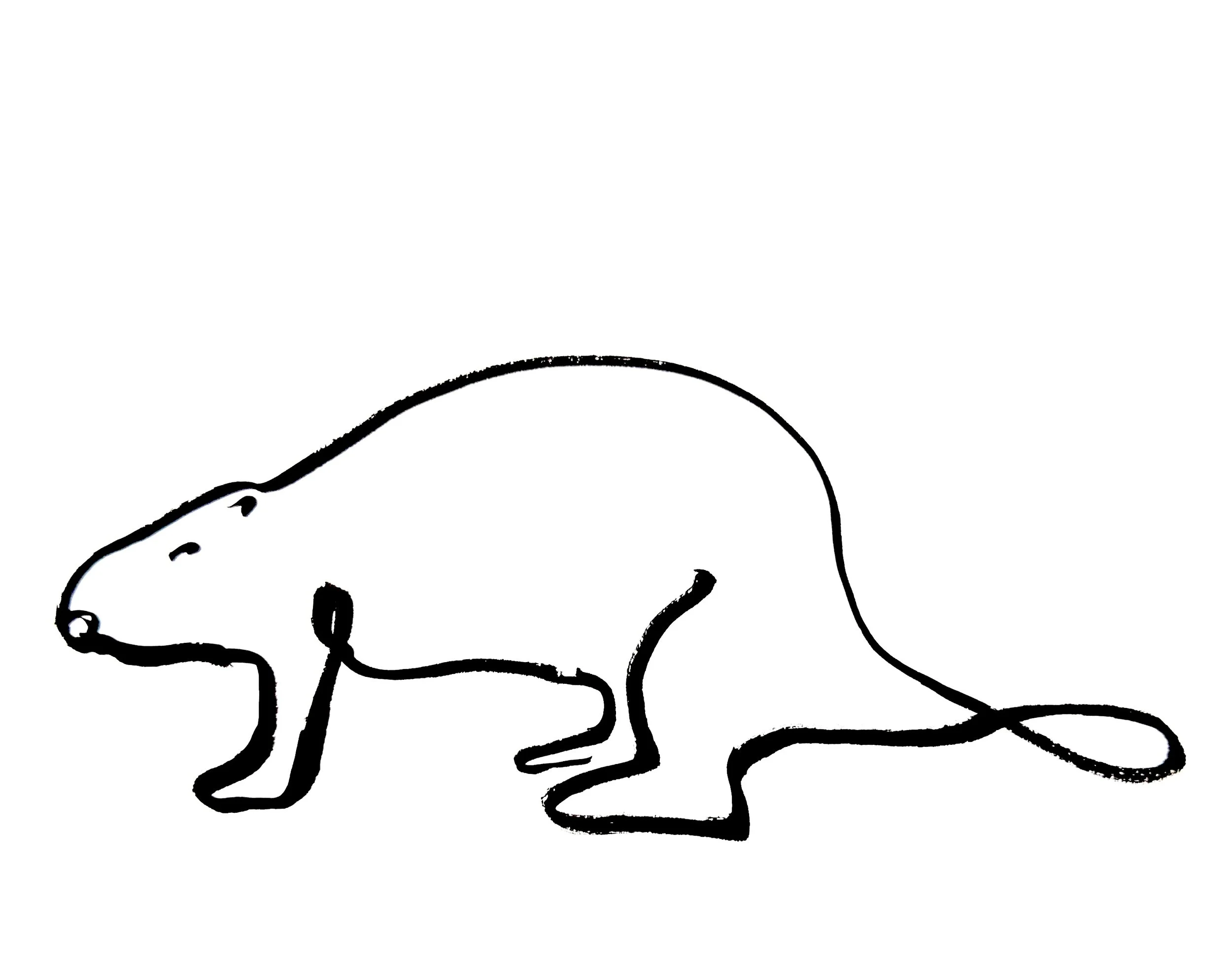 The day in the life of a Beaver live drawing show and installation