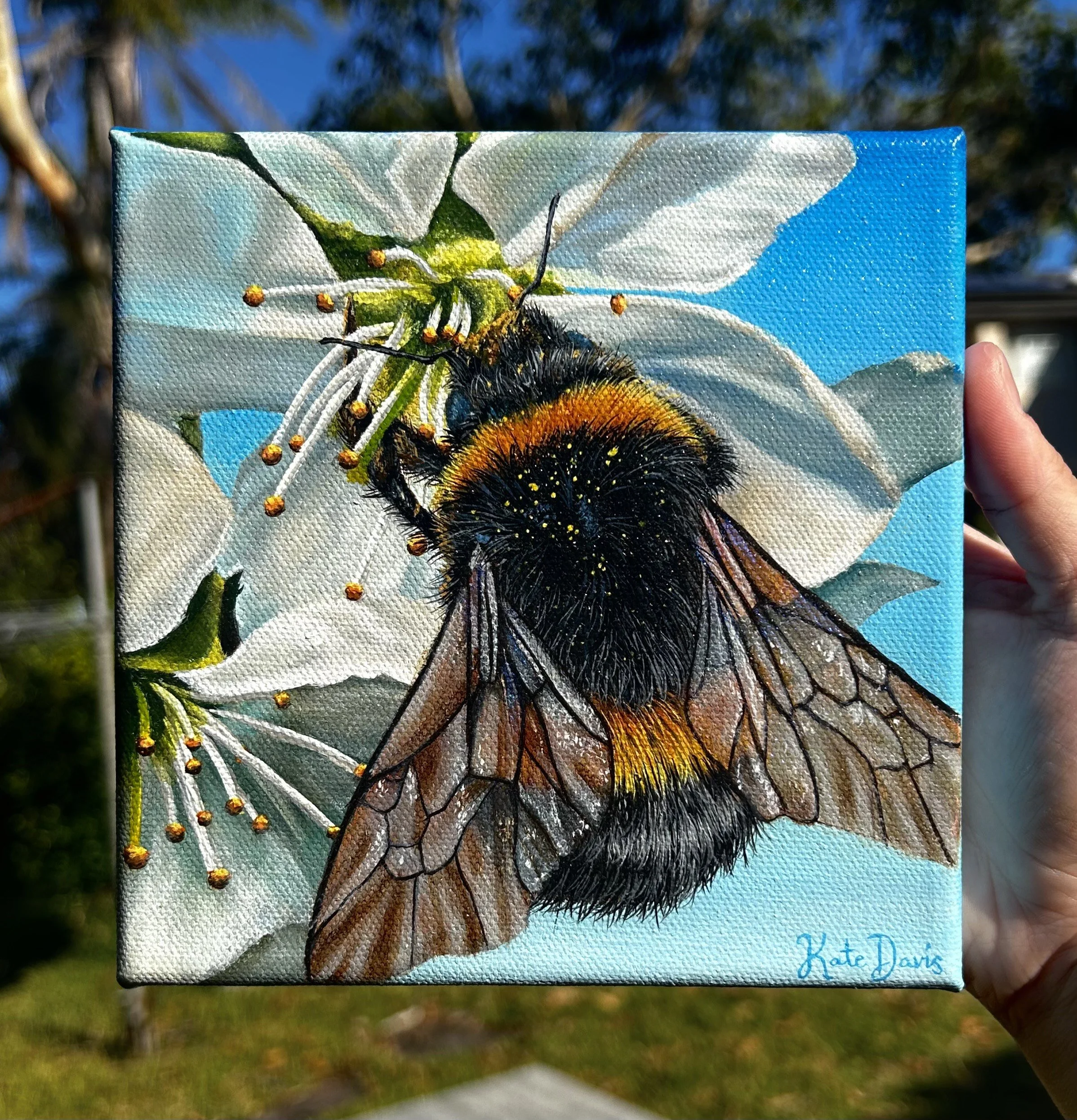 "The Bee's Knees" (SOLD)     15.24 x 15.24 cm, acrylic on canvas, framed. AUD $200