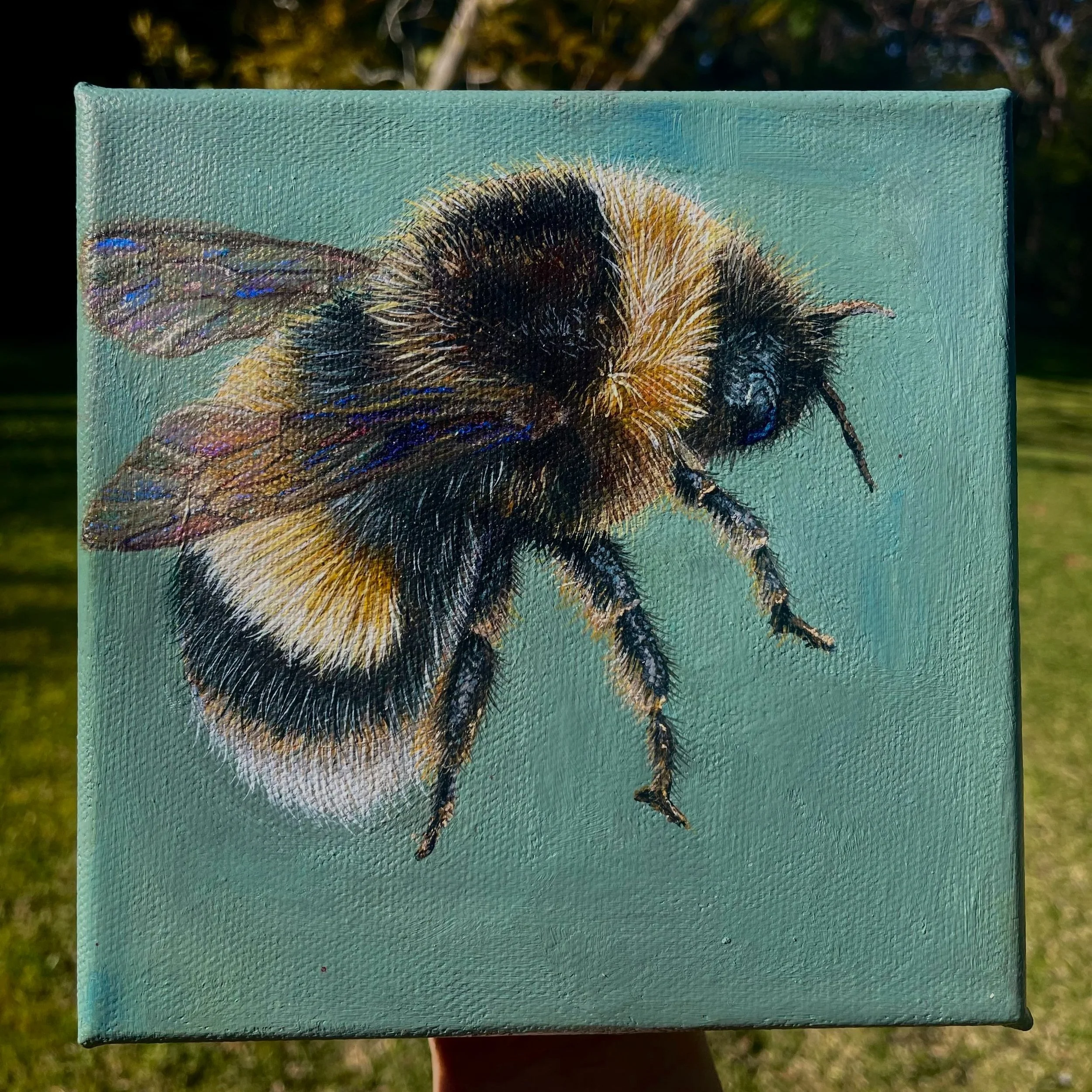 "Little Furry Friend" (SOLD) 15.24 x 15.24 cm, acrylic on canvas, framed. AUD $200