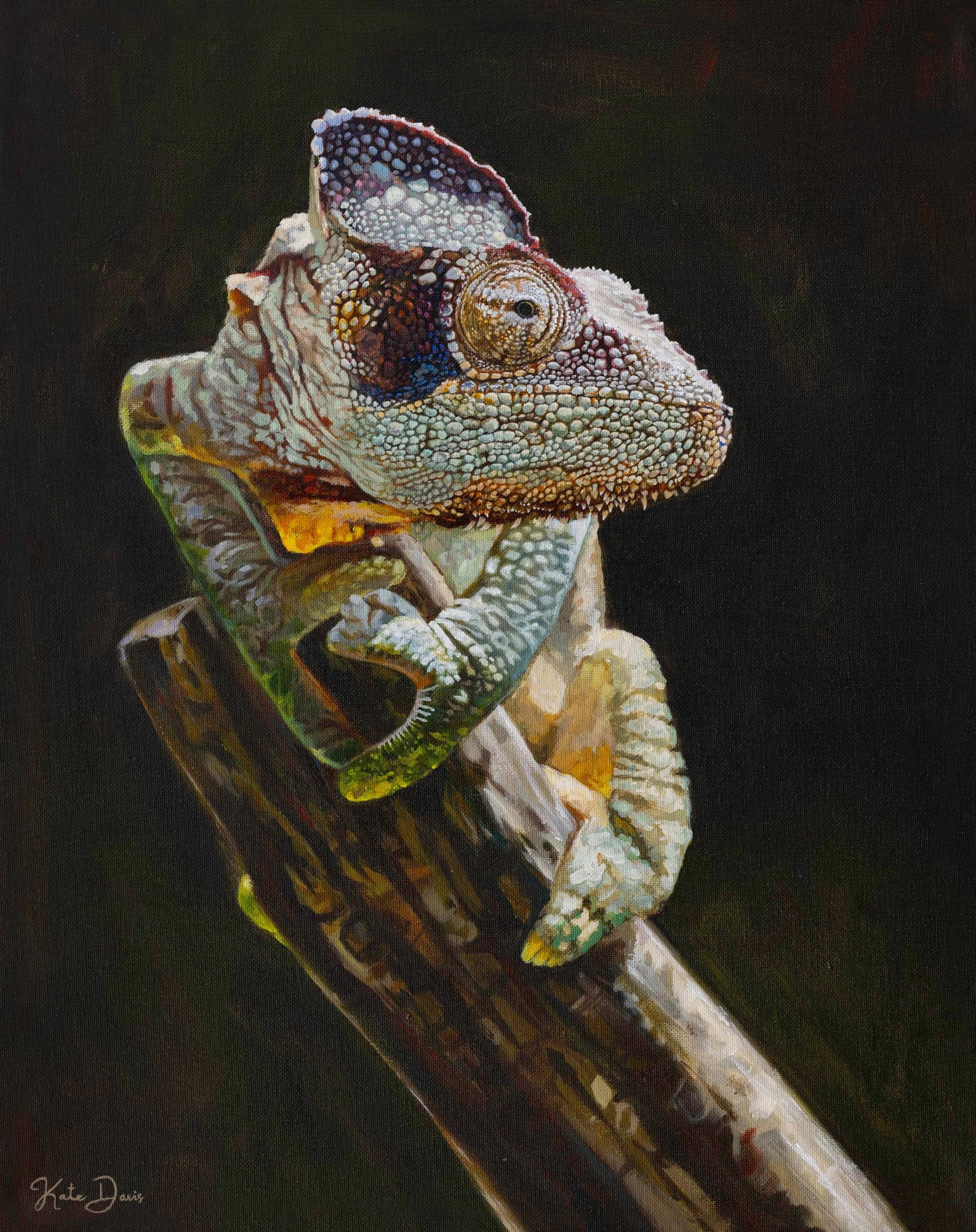 Rodrigo the Chameleon.jpg