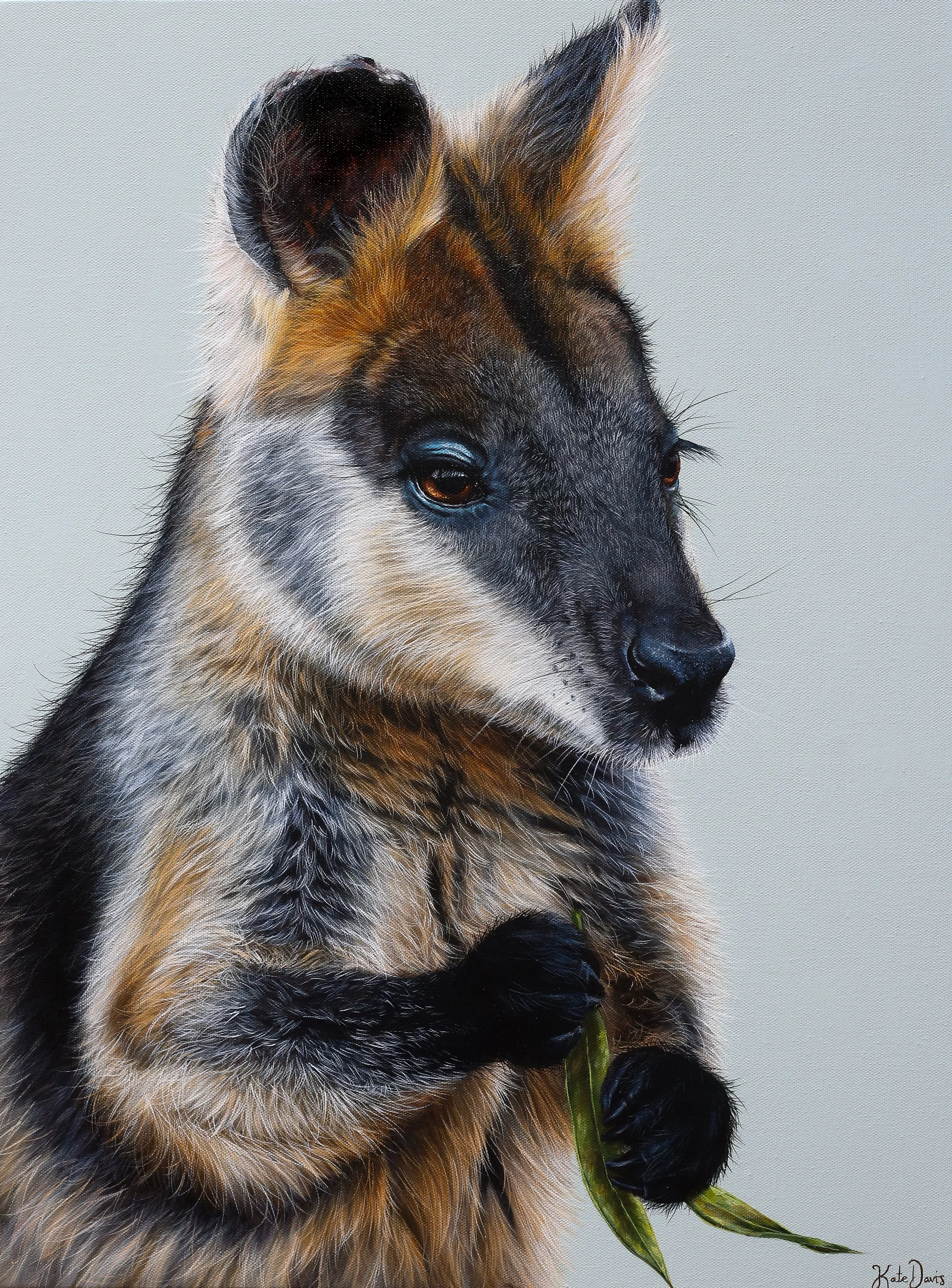 WALLABIES & ROO'S