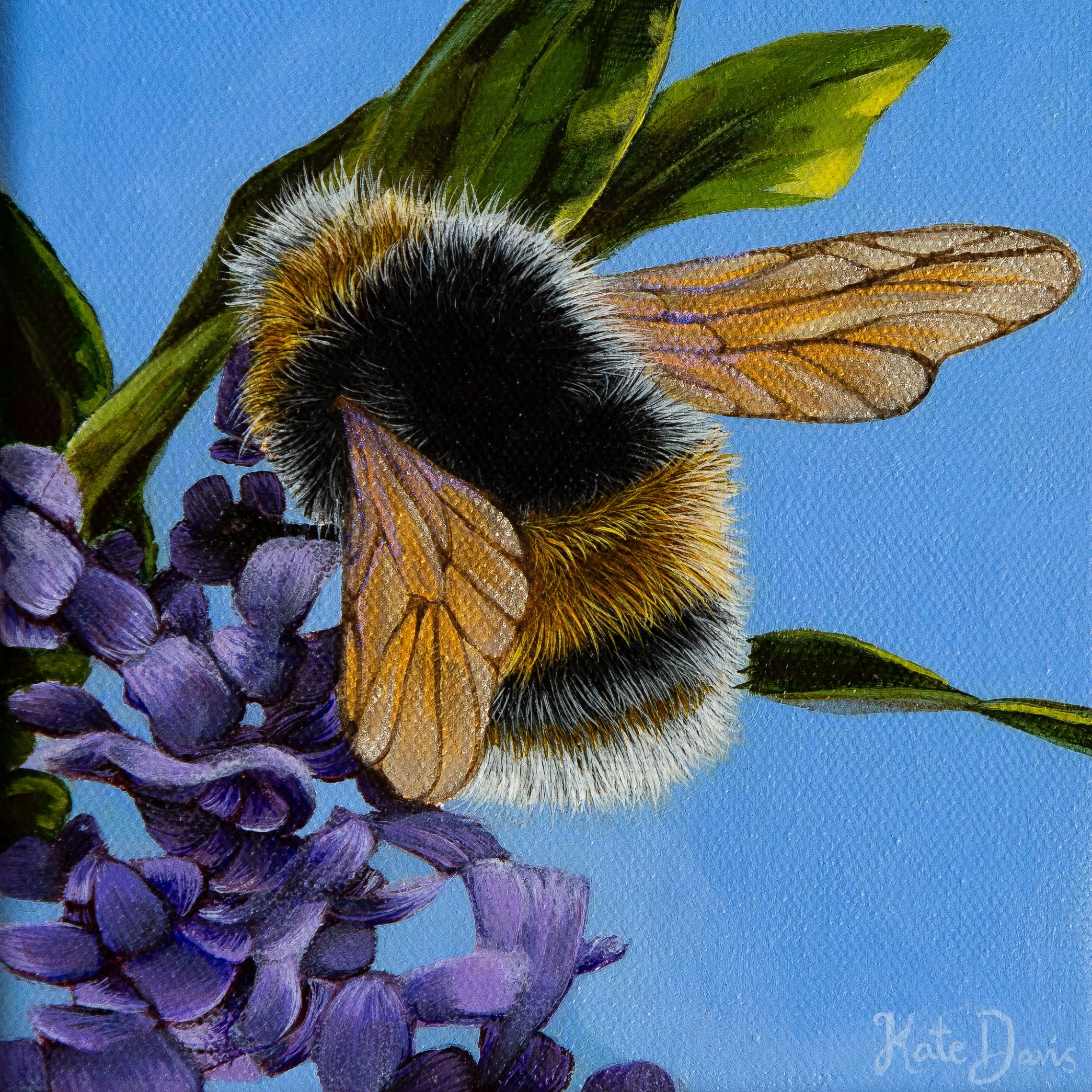  "Gather" (SOLD)  15.24 x 15.24 cm, acrylic on canvas, framed. AUD $200