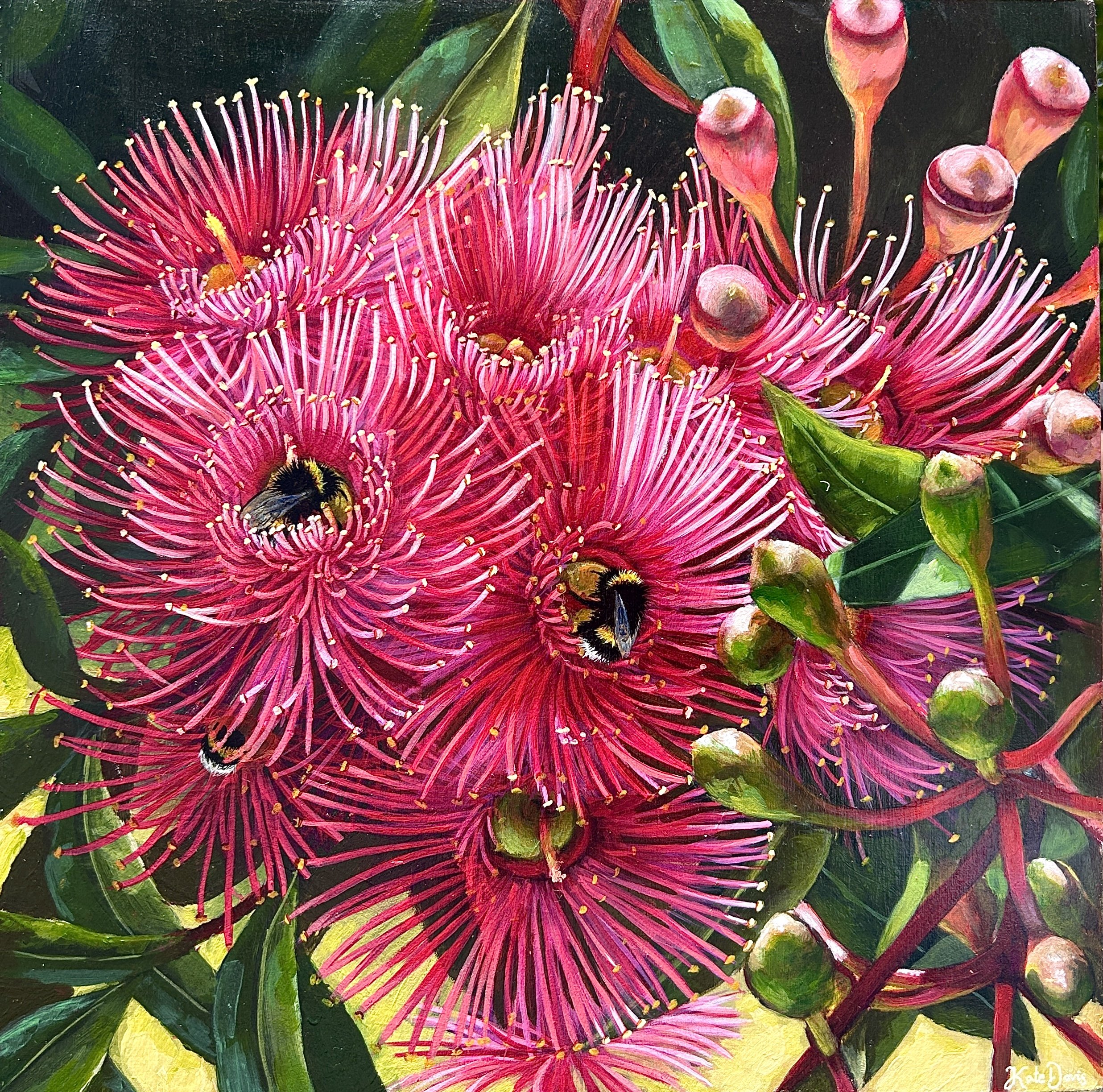 Among the Gums