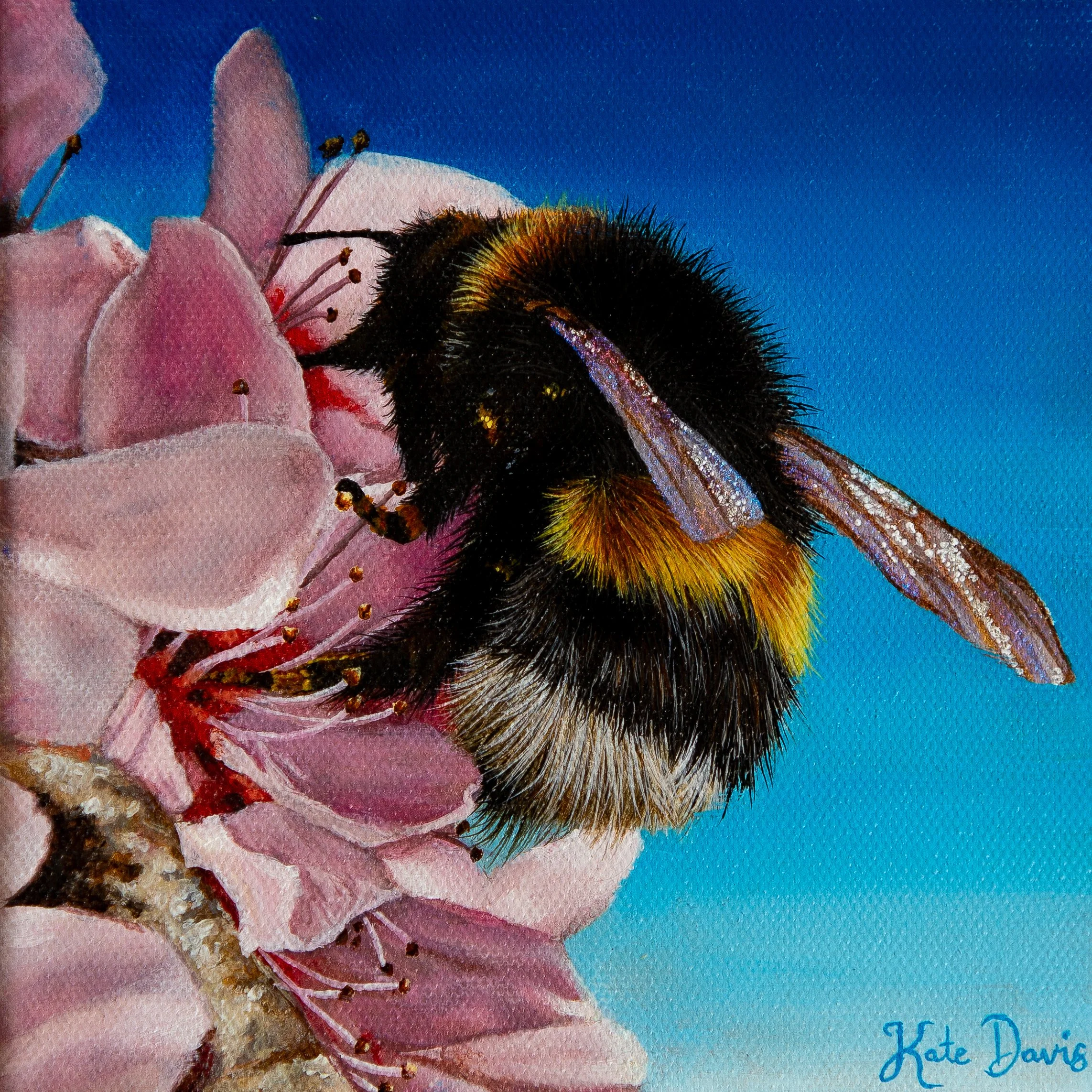 "The Pollinator's Dance" (SOLD)  15.24 x 15.24 cm, acrylic on canvas, framed. AUD $200
