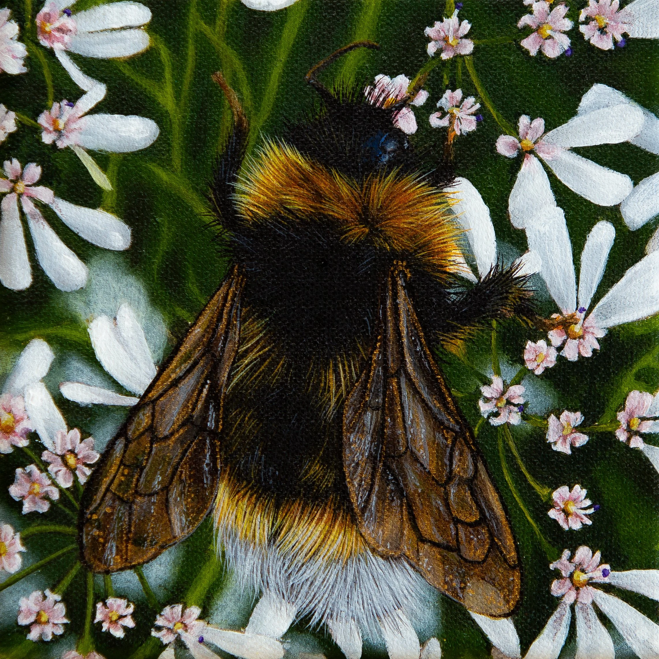 "Among the Garden Bed" (SOLD)    15.24 x 15.24 cm, acrylic on canvas, framed. AUD $200