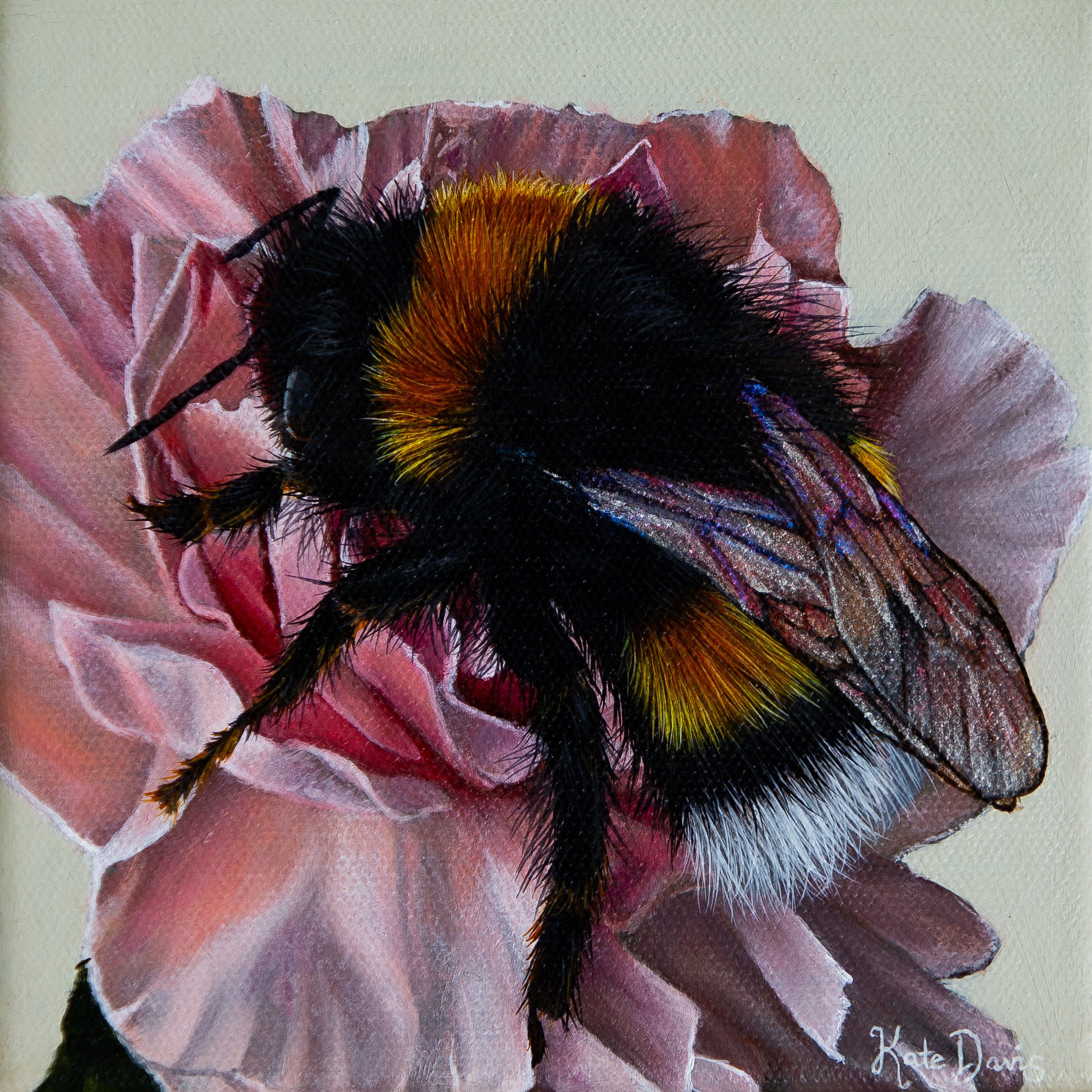 Fluff and Nectar  - Mask Included Final Image.jpg