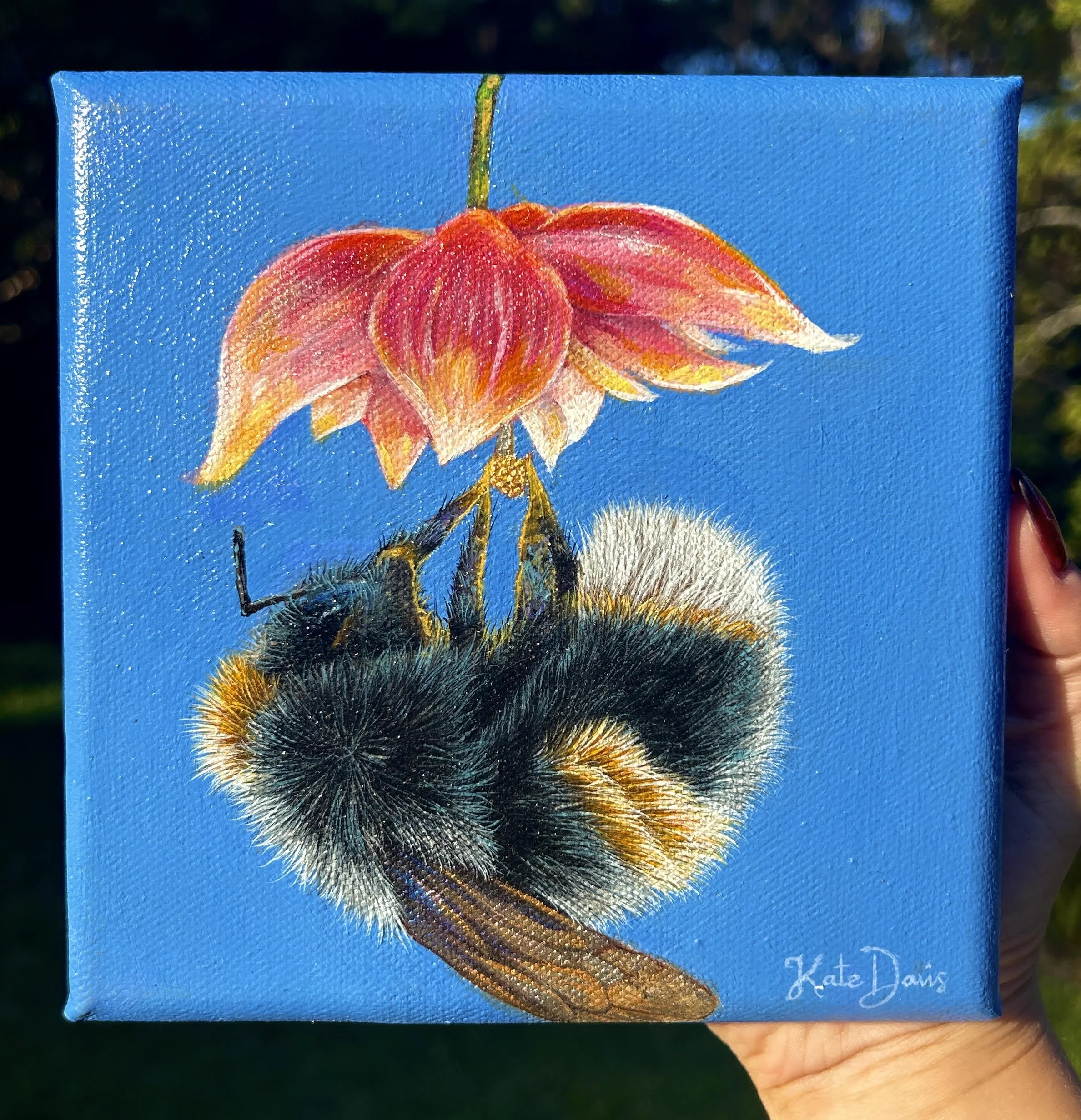 'Just Hangin' Around'  (SOLD)  15.24 x 15.24 cm, acrylic on canvas, framed. AUD $200