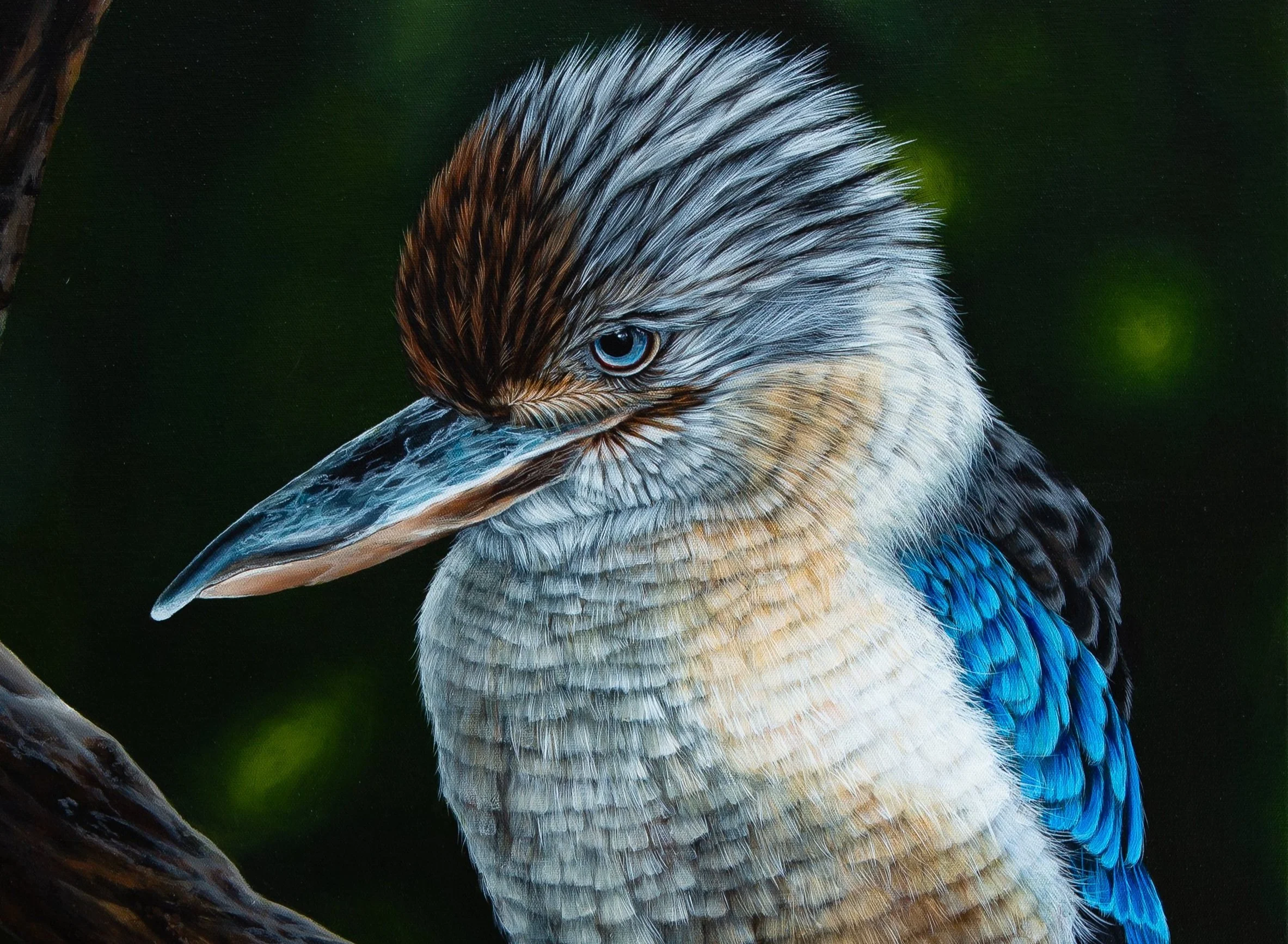 GREETING CARDS & PRINTS