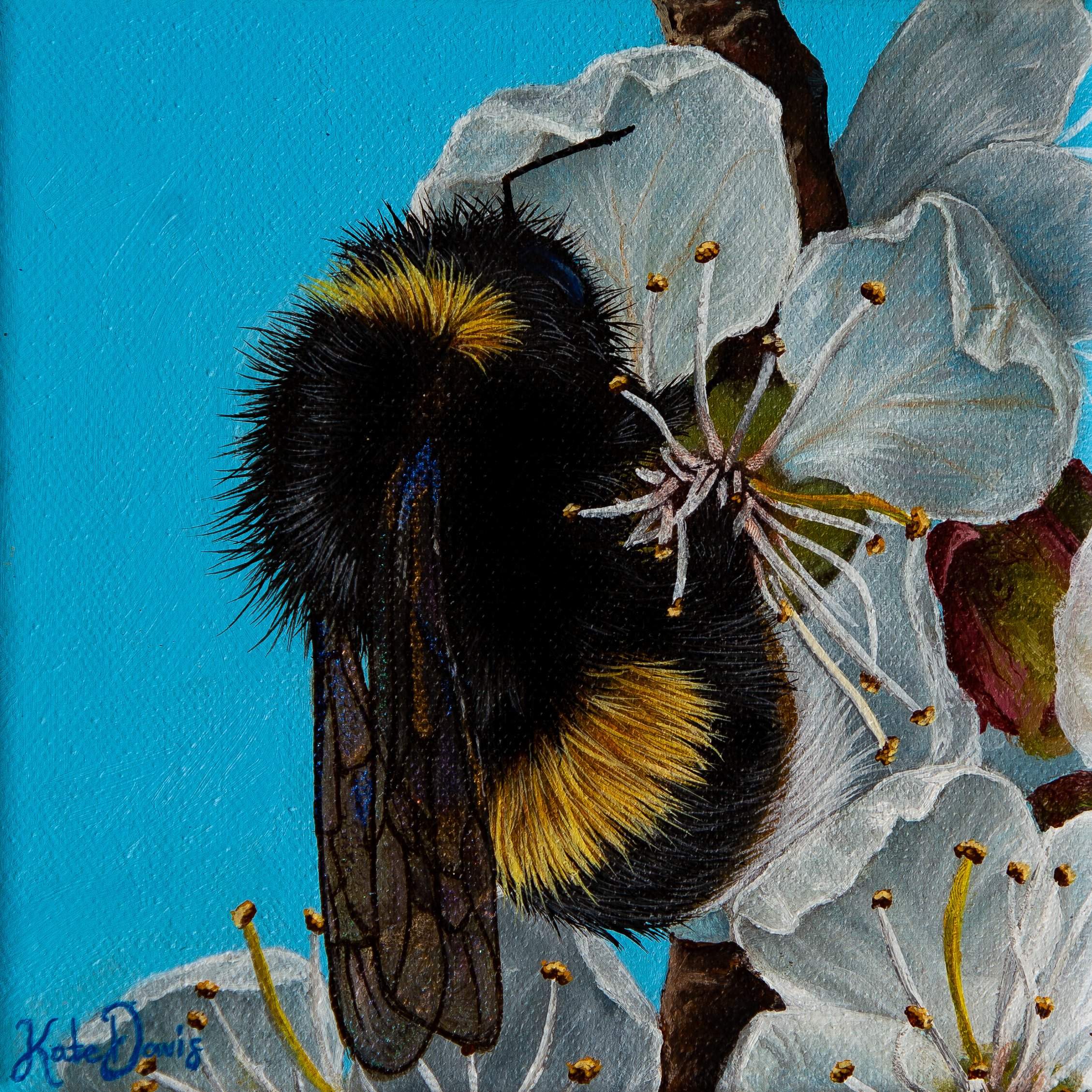 Cherry Blossom Bee  - Mask Included Final Image.jpg
