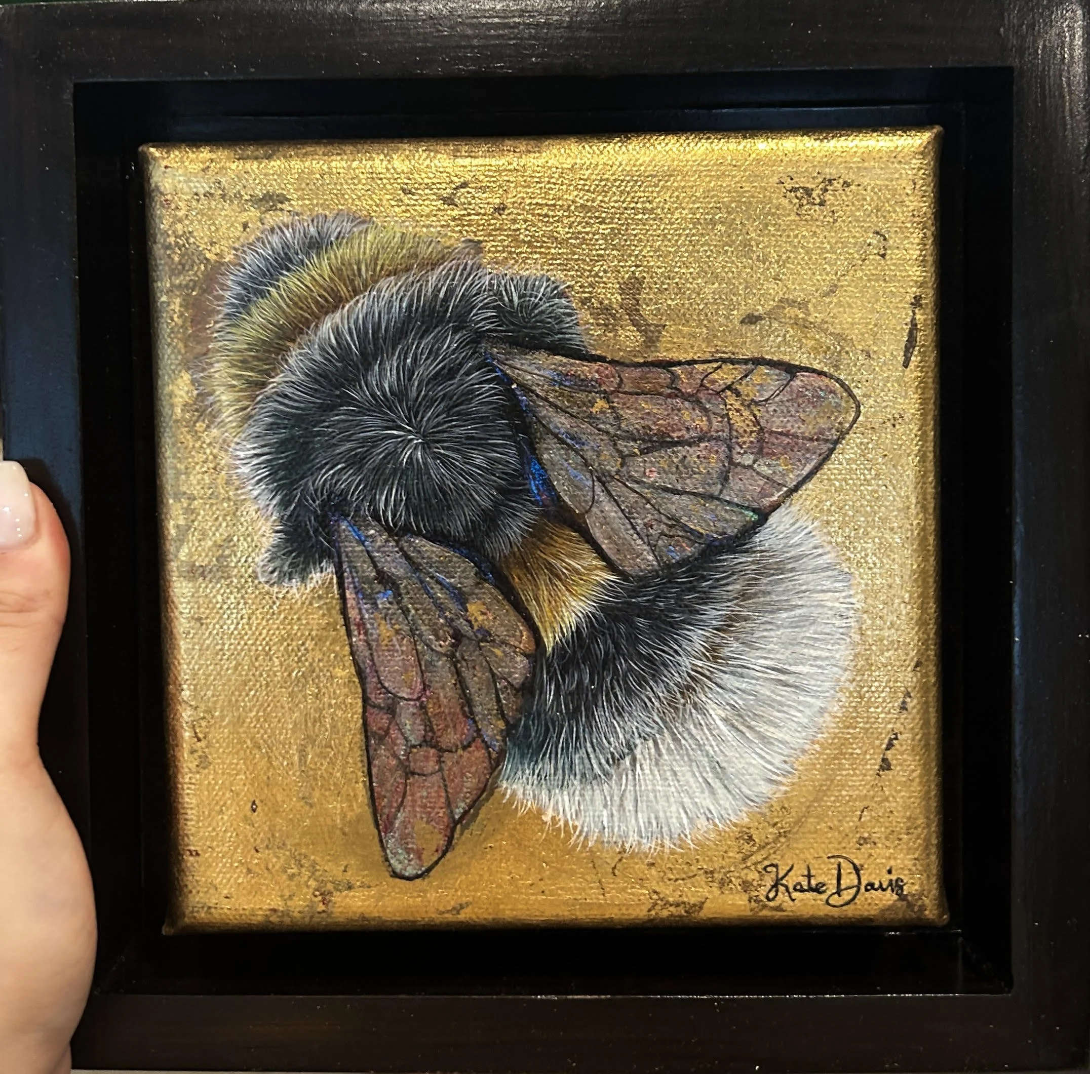 'Gold-dusted wings' (SOLD)      15.24 x 15.24 cm, acrylic on canvas, framed. AUD $200