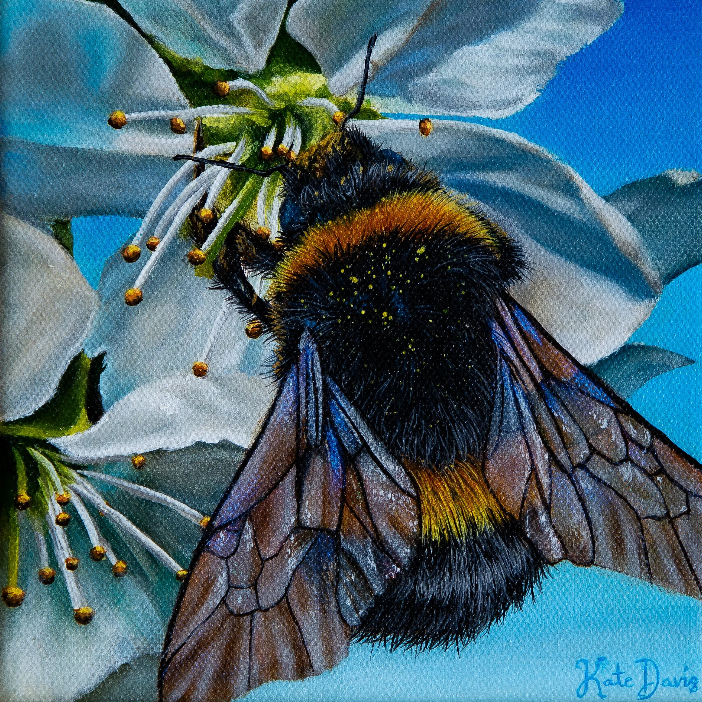 The Bee's Knee's Final Image.jpg