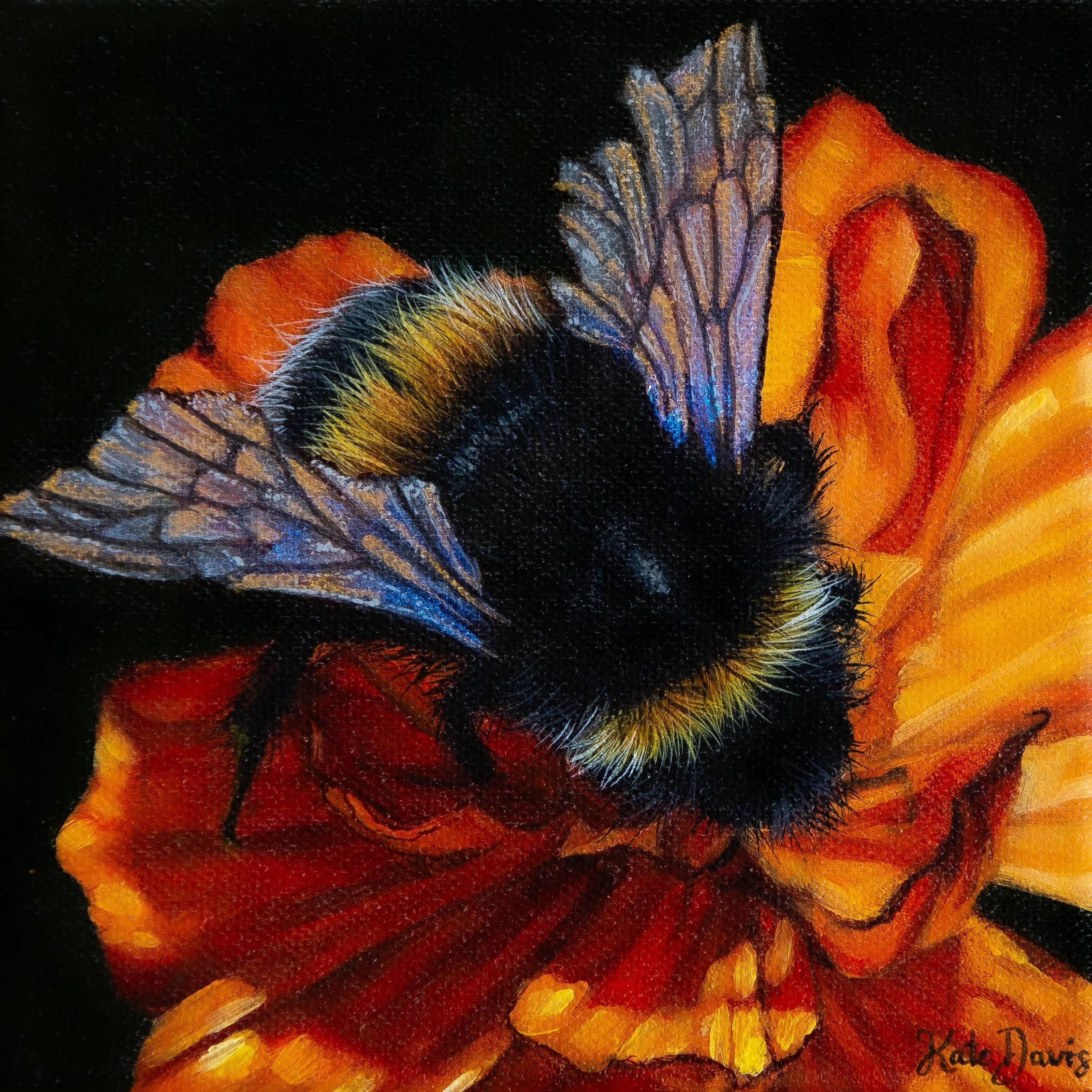 "Drunk On Nectar" (SOLD)   15.24 x 15.24 cm, acrylic on canvas, framed. AUD $200