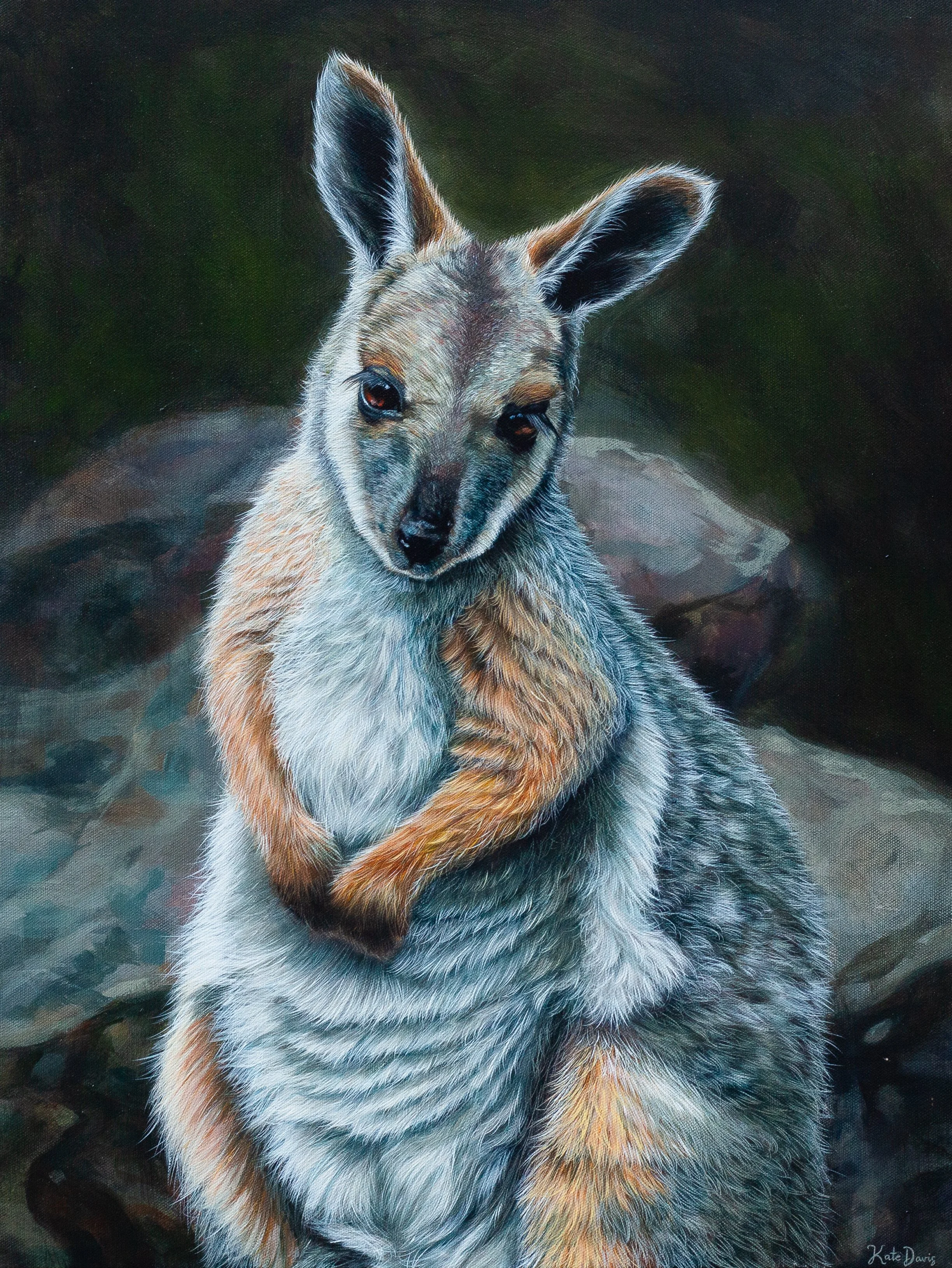 ARKAROOLA’S FINEST POSER