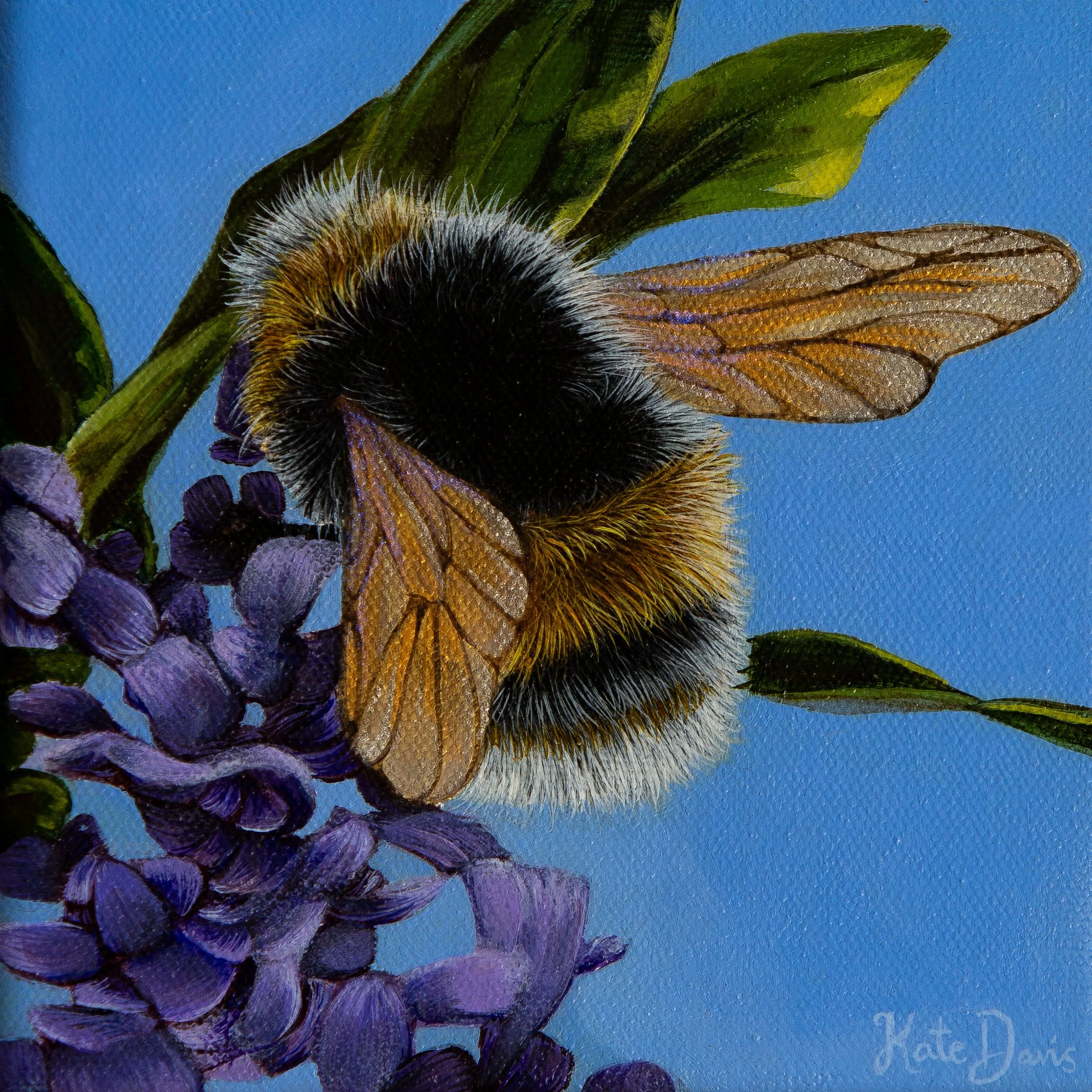 Golden Bee  - Mask Included Final Image.jpg