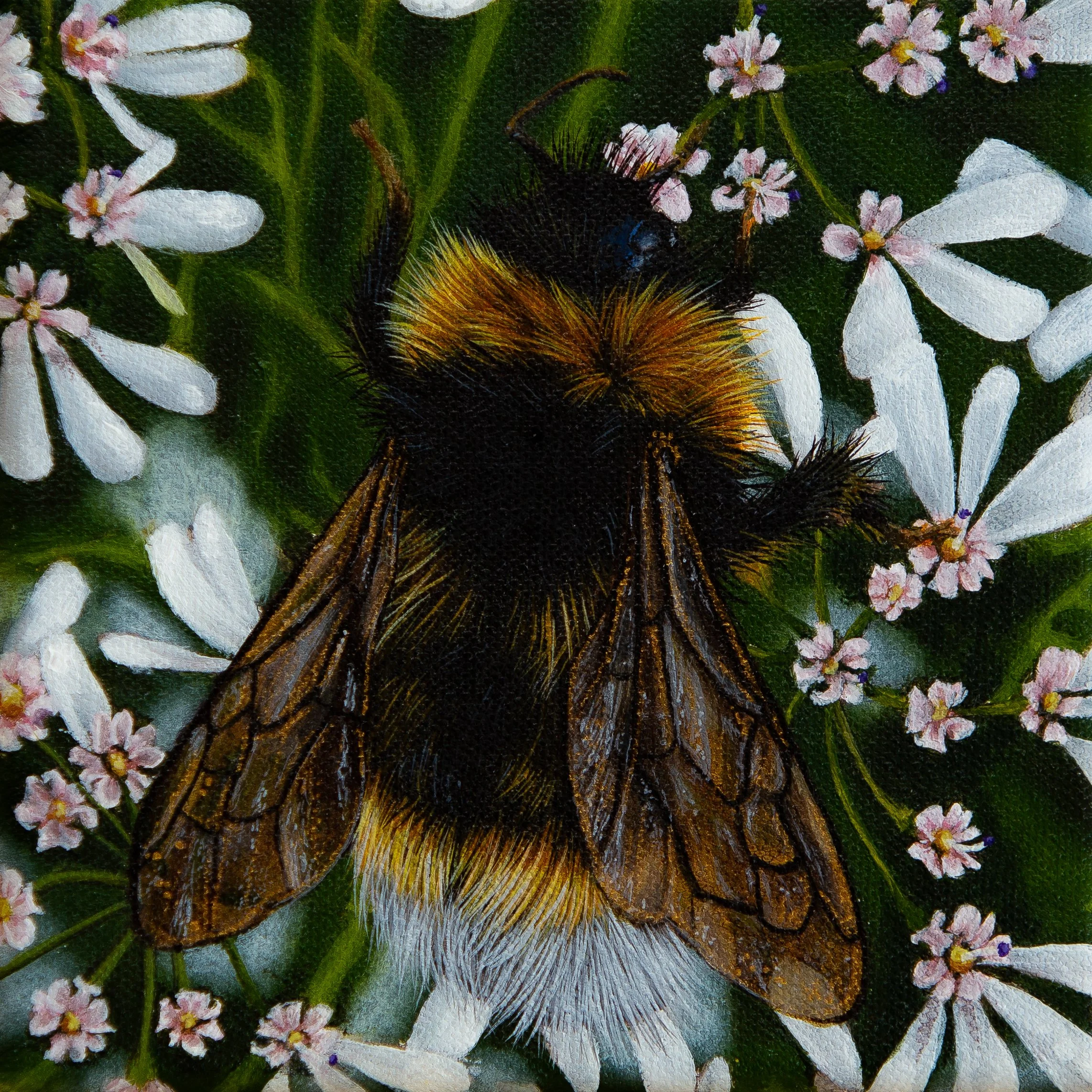 Orange Bee - Mask Included Final Image-1.jpg