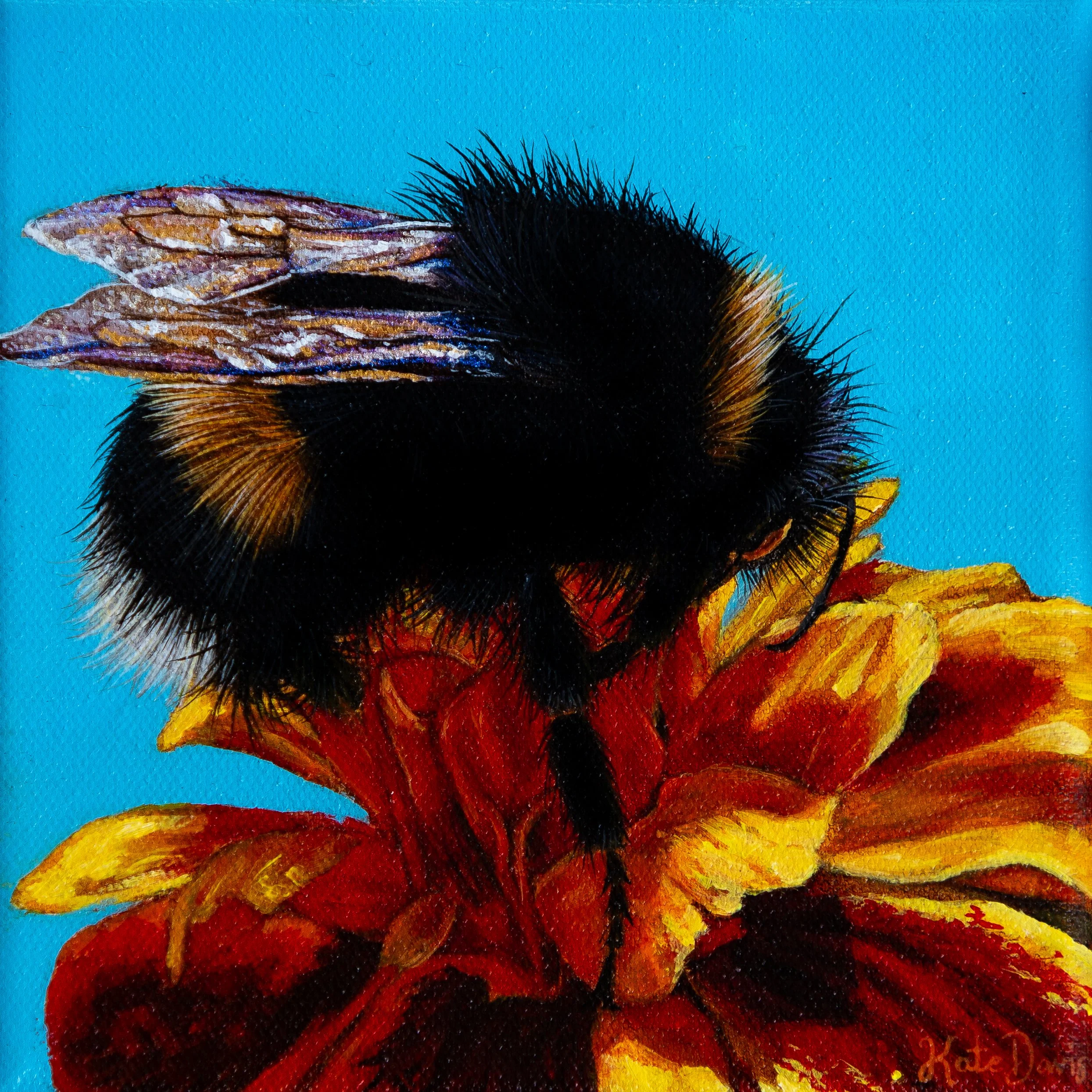 'In Bloom' (SOLD)  15.24 x 15.24 cm, acrylic on canvas, framed. AUD $200