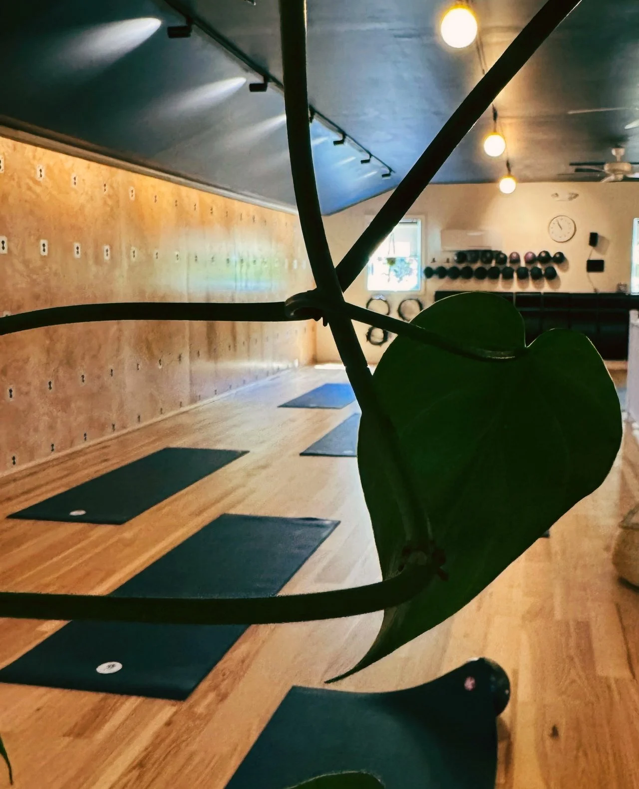 A quiet moment before class 🌿⁠
⁠
One of our favorite things about the studio is how calm it feels before everyone walks in. Mats out, morning light coming through, music on, ready for whatever kind of reset you need that day.⁠
⁠
See you in class 🤍⁠