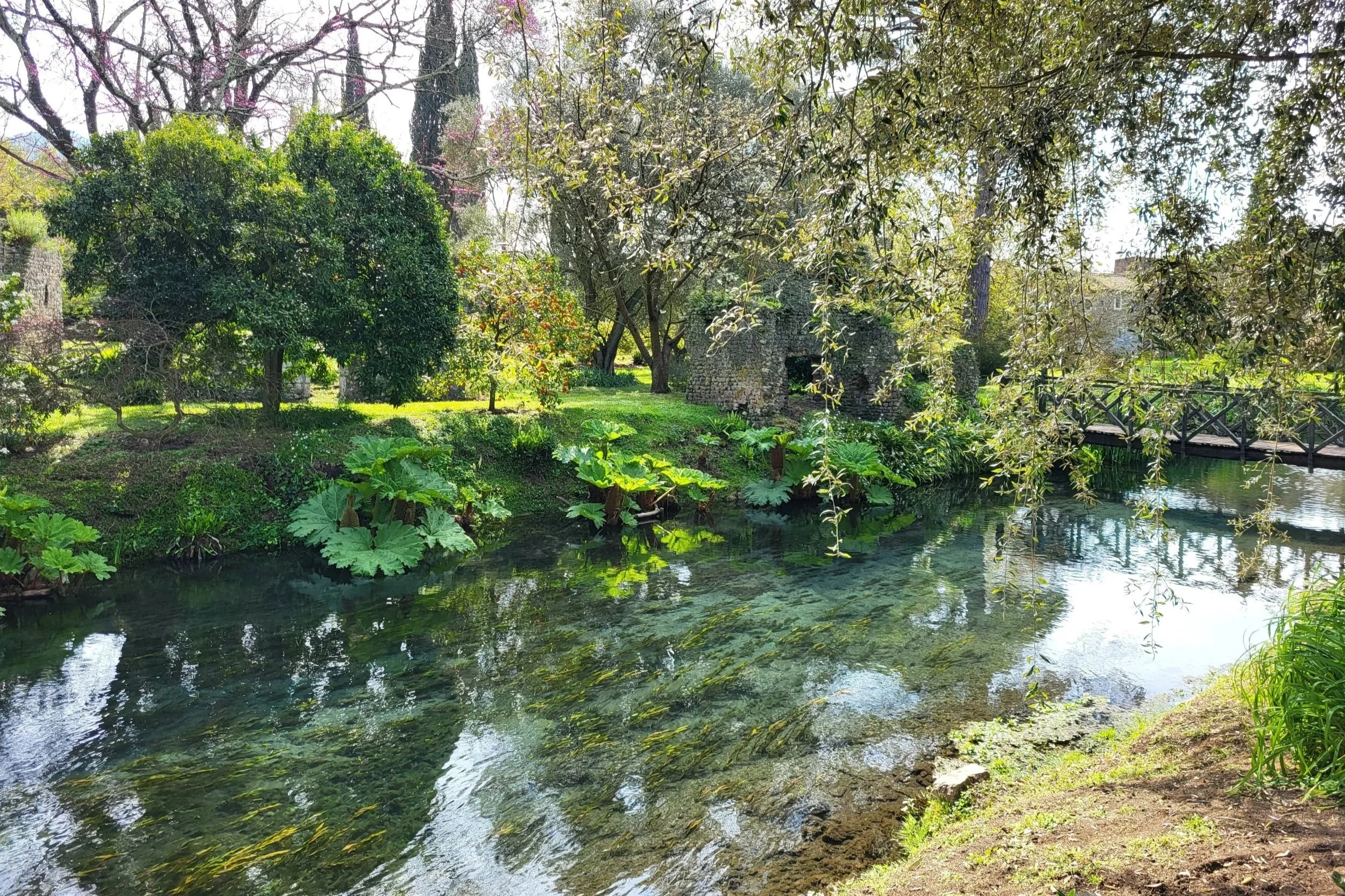 Lush greenery and river in Giardino di Ninfa garden Italy